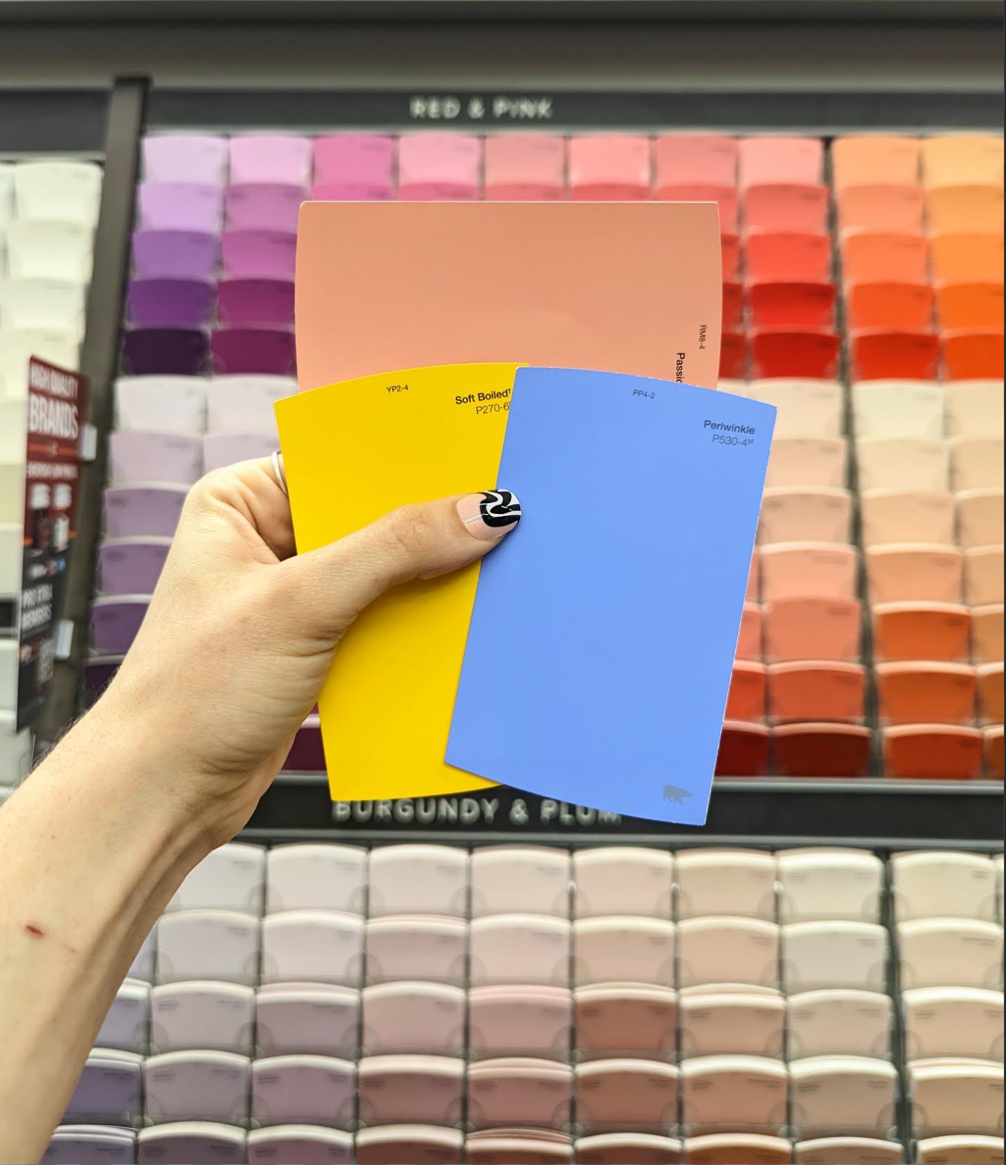 Tola Home selecting paint colors for a mural project.