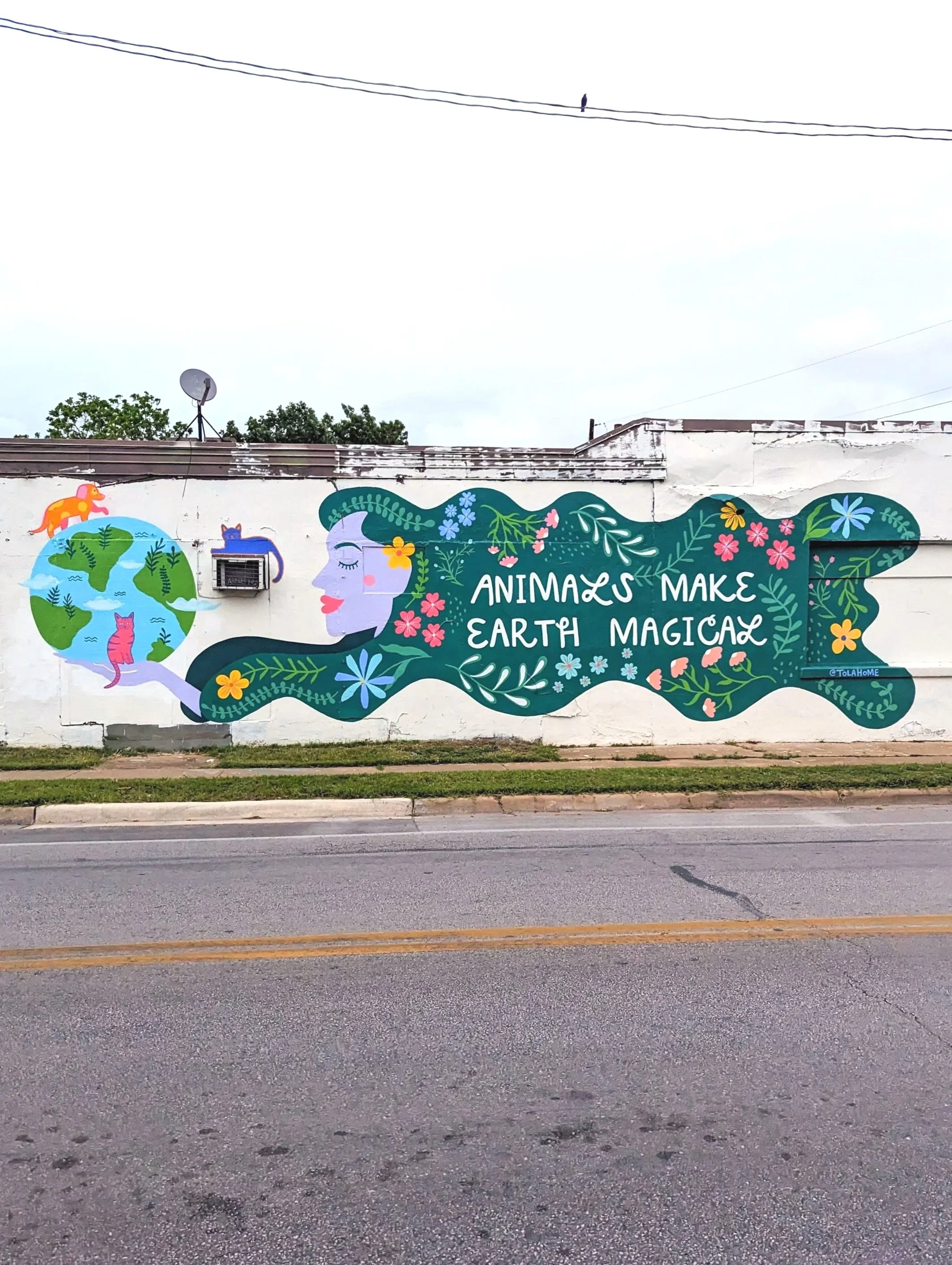 Colorful mural on a building wall featuring a woman with a long green hair adorned with flowers, along with illustrations of animals, earth, and plants, and the phrase 'Animals Make Earth Magical.'
