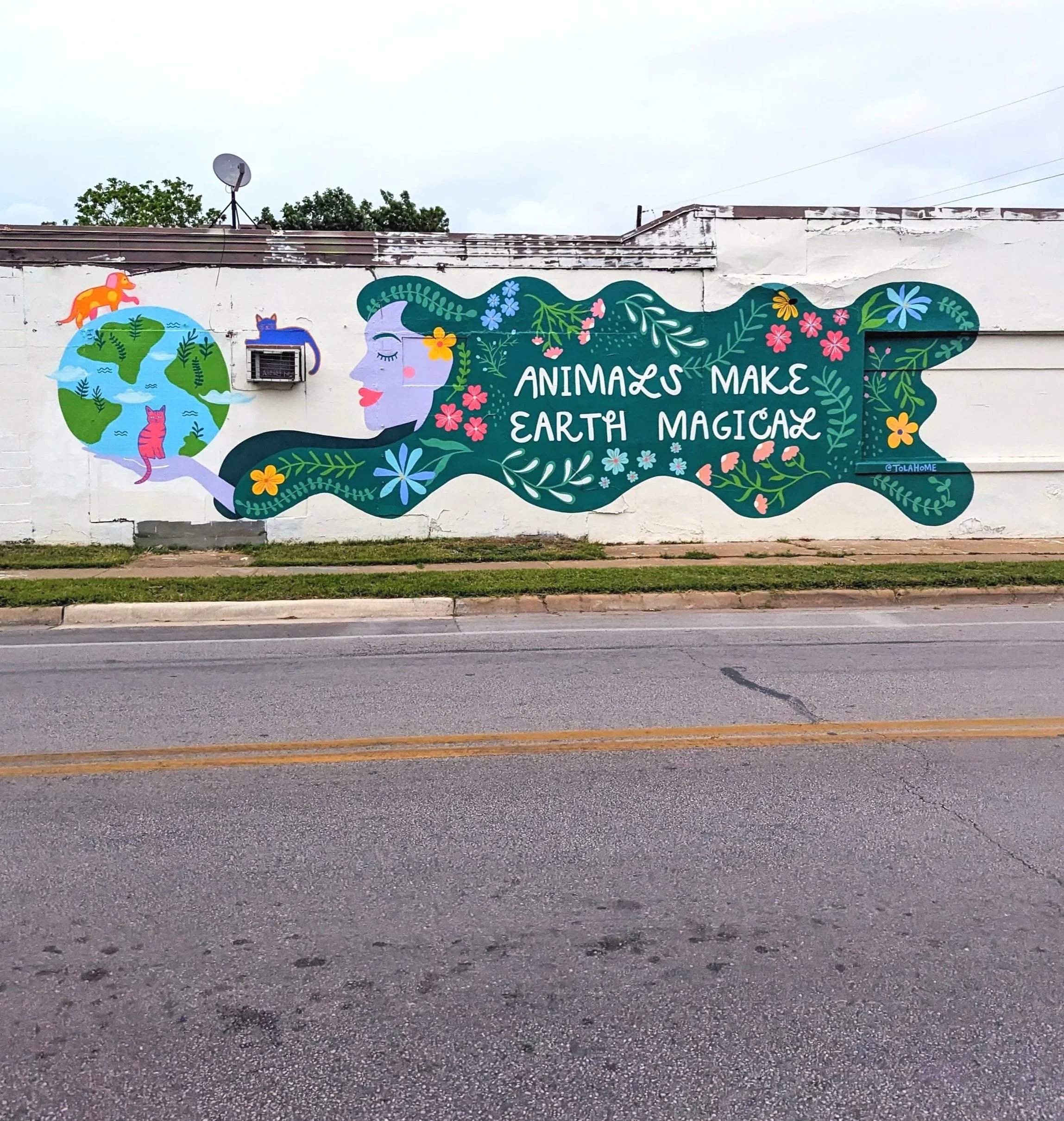 Austin Pets Alive! exterior mural in Austin, Texas featuring animals, flowers, greenery, and a large-scale hand-painted design.