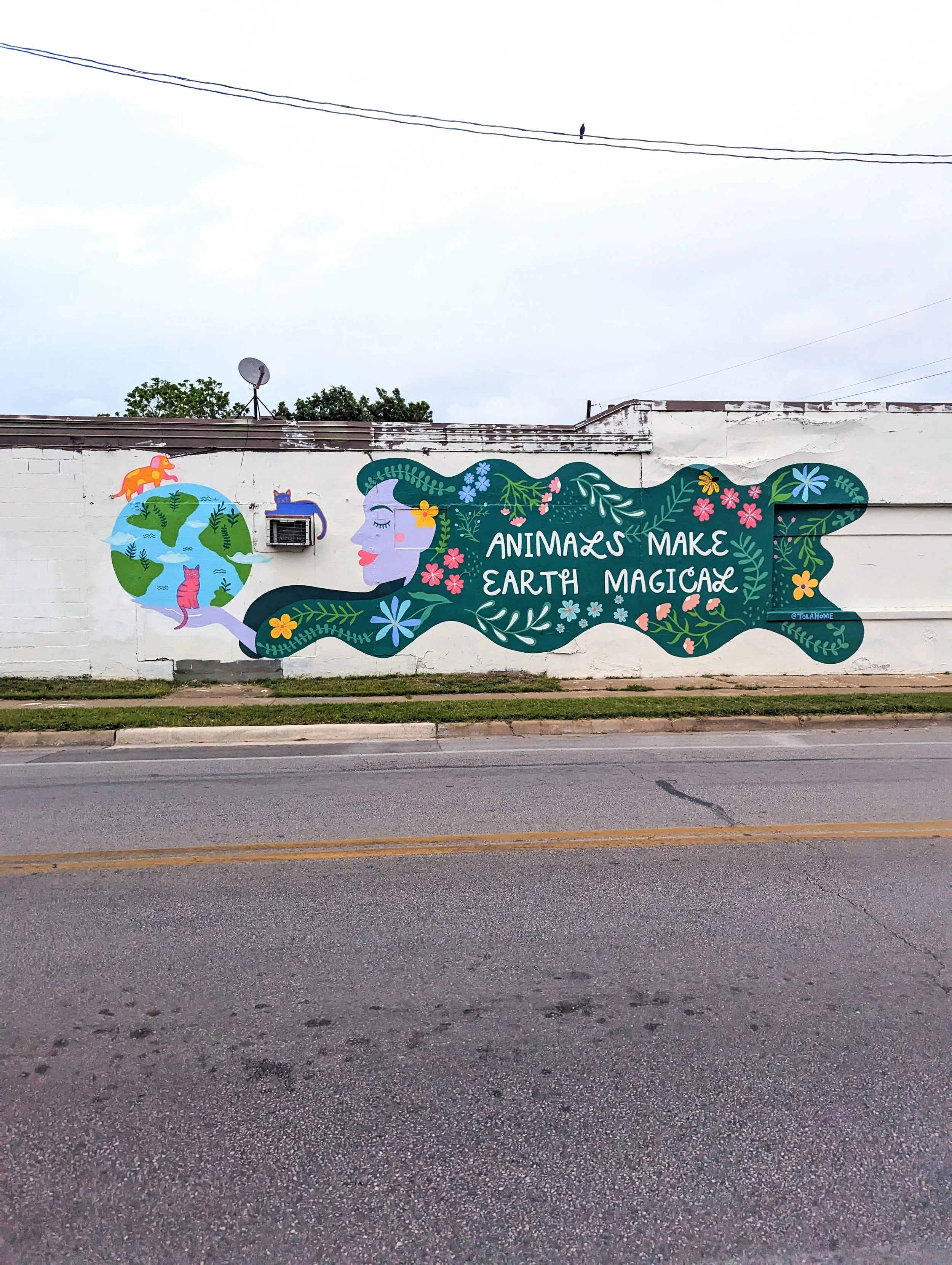 Austin Pets Alive! exterior mural in Austin, Texas featuring a woman surrounded by animals, flowers, and a globe in celebration of Earth Day and saving animals