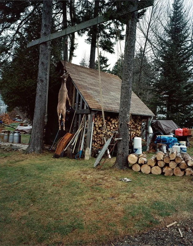 9402378-orig_1_orig.jpg