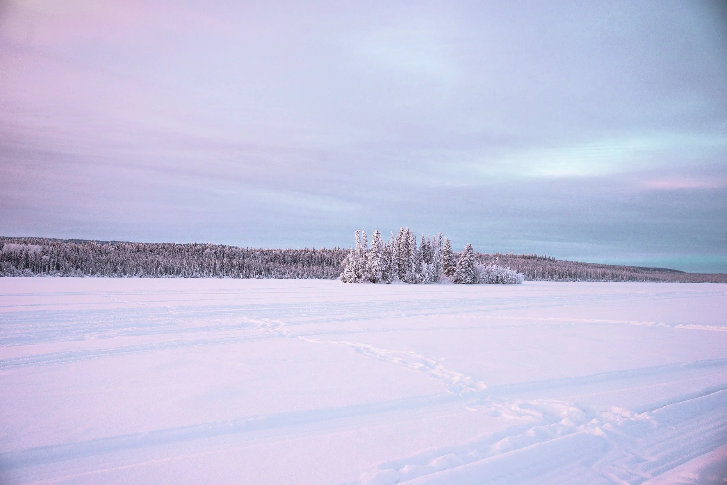 DSC_0414.jpg