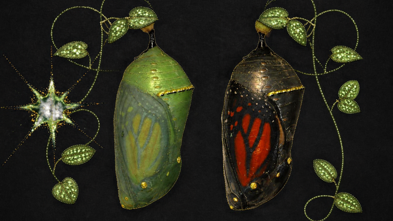 Picture of two chrysalises with monarchs inside. The stems are whimsical