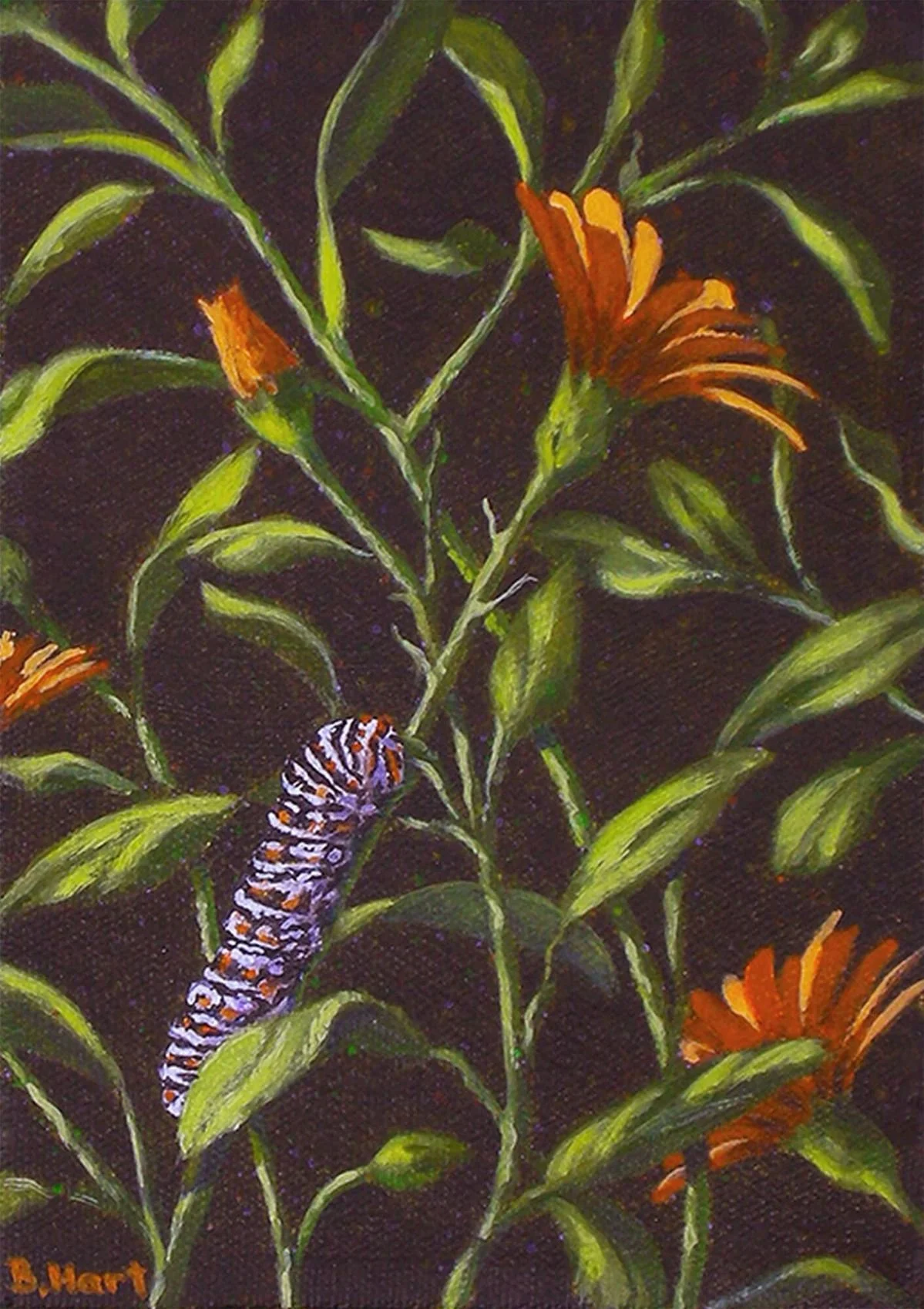 A painting of a caterpillar crawling up a flower stem. Background is black. Flower petals are orange.