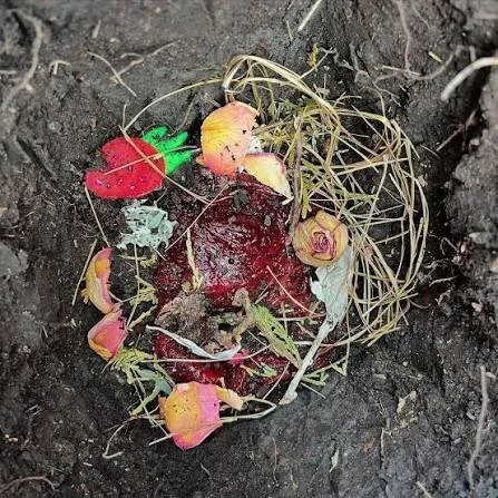 Placenta on dirt with a wreath of flowers around it in a ceremonial practice