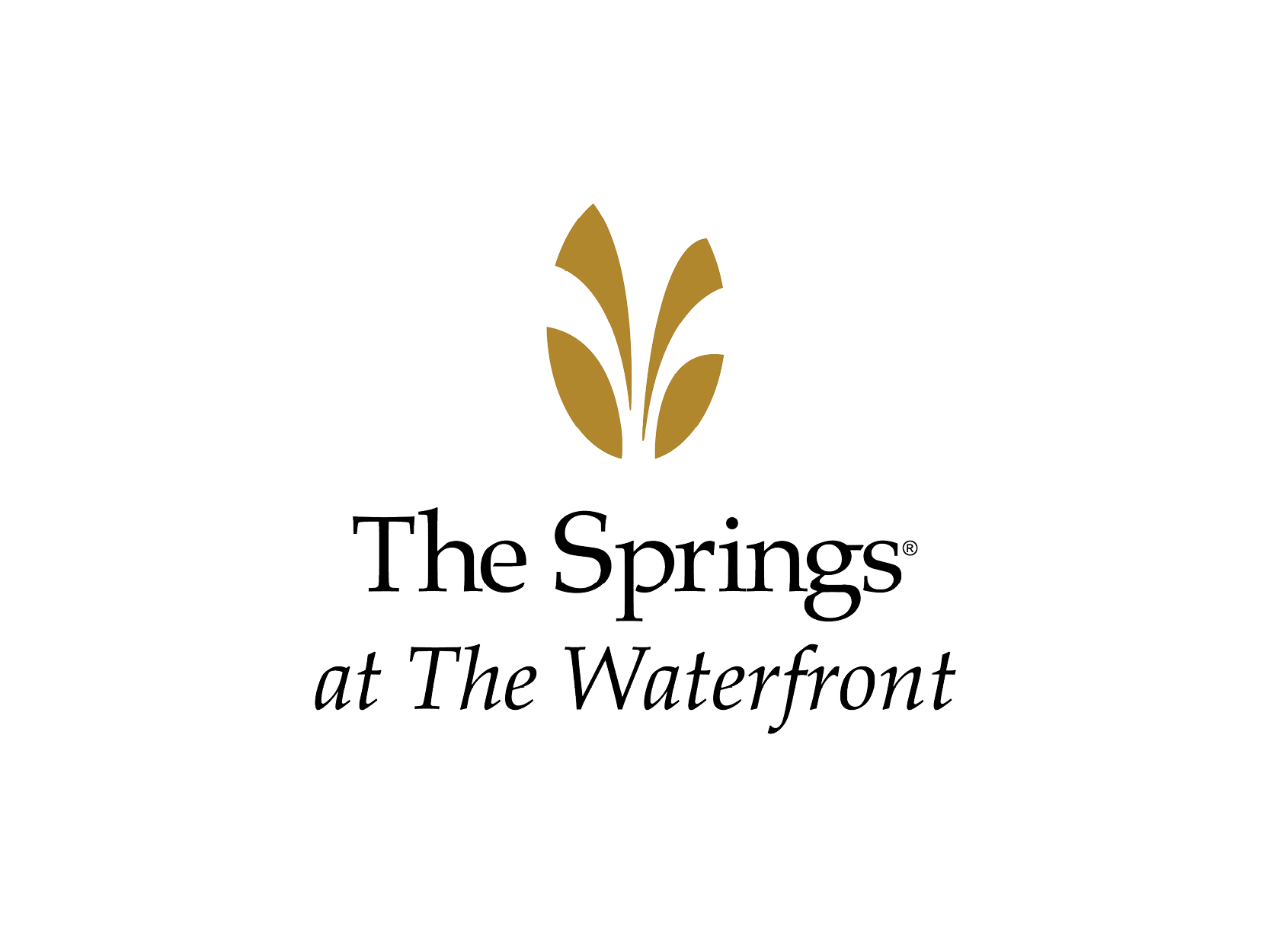 imgi_17_The-Springs-logo.png