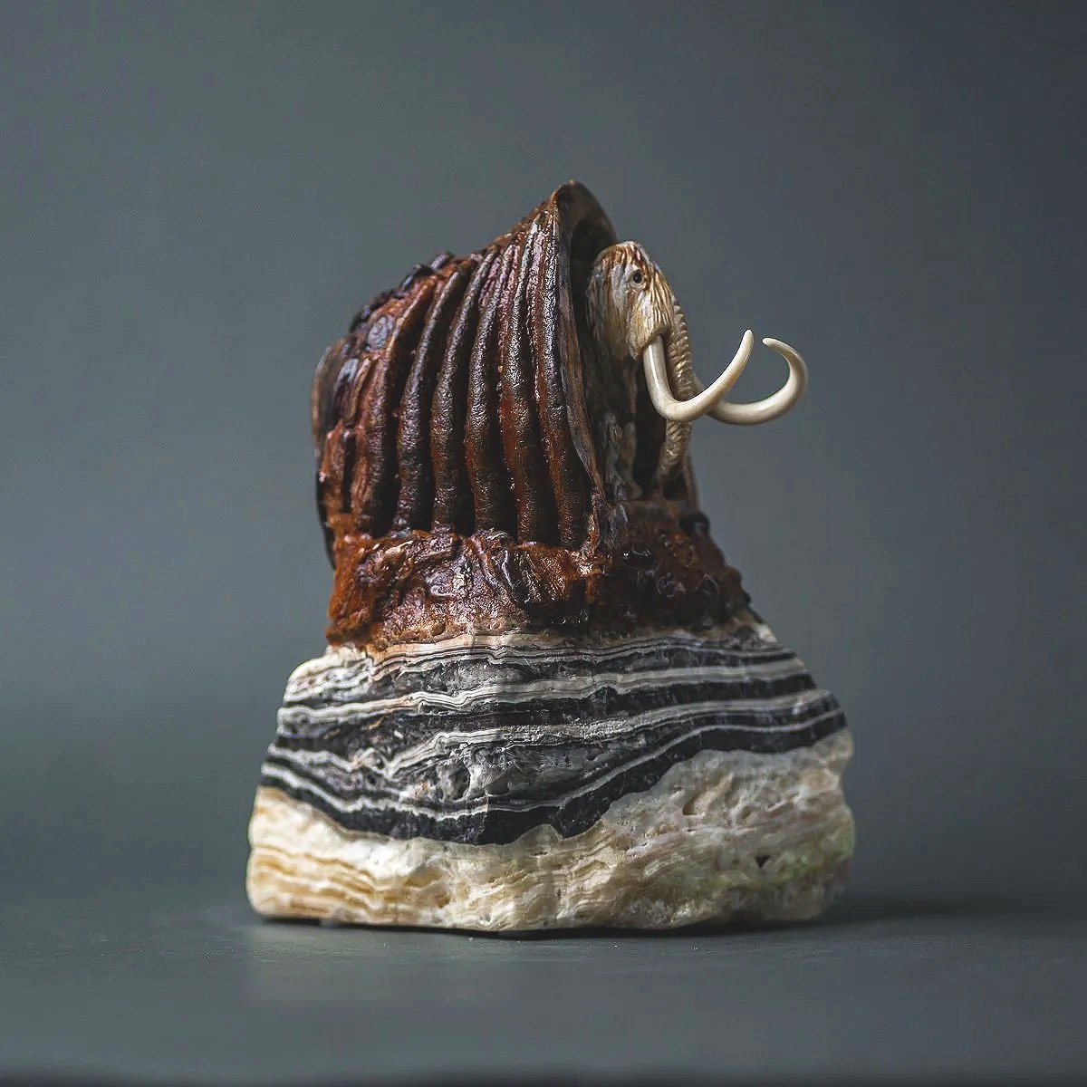 DSC02266.jpg