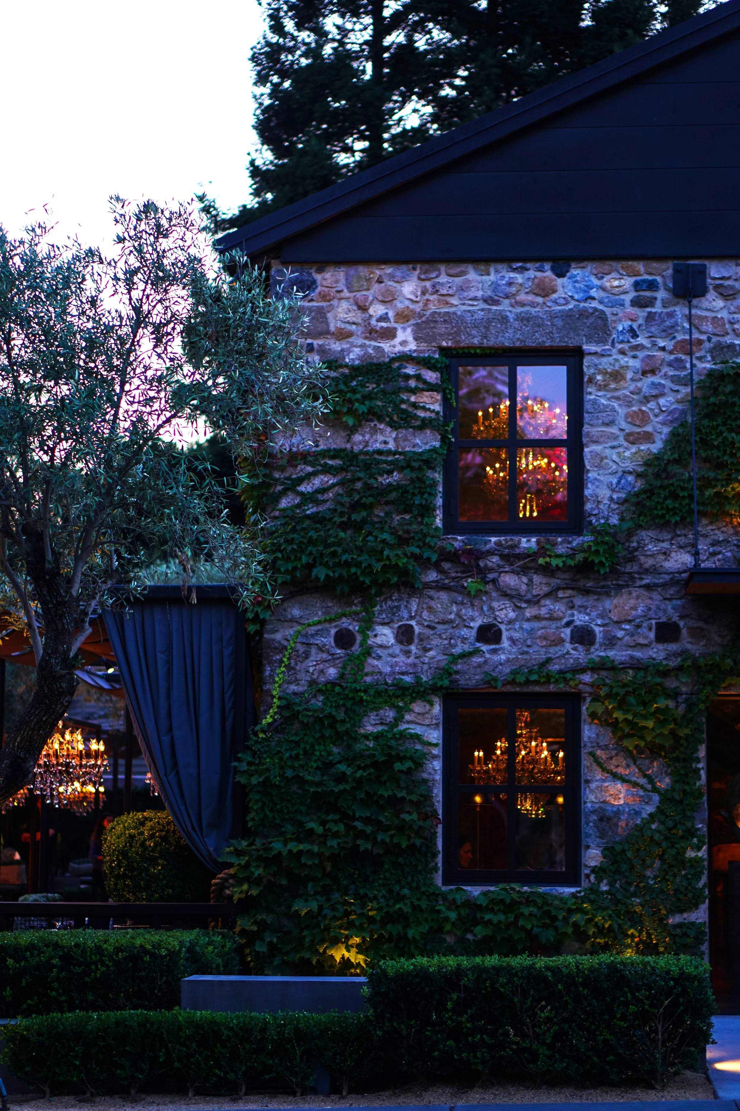 KK_Website_Photo_Travel_Napa40.jpg
