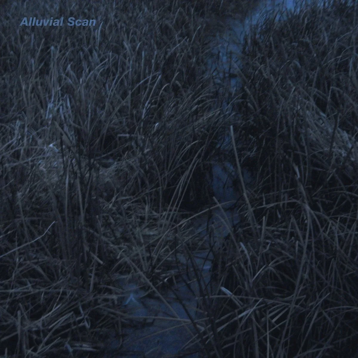Alluvial Scan