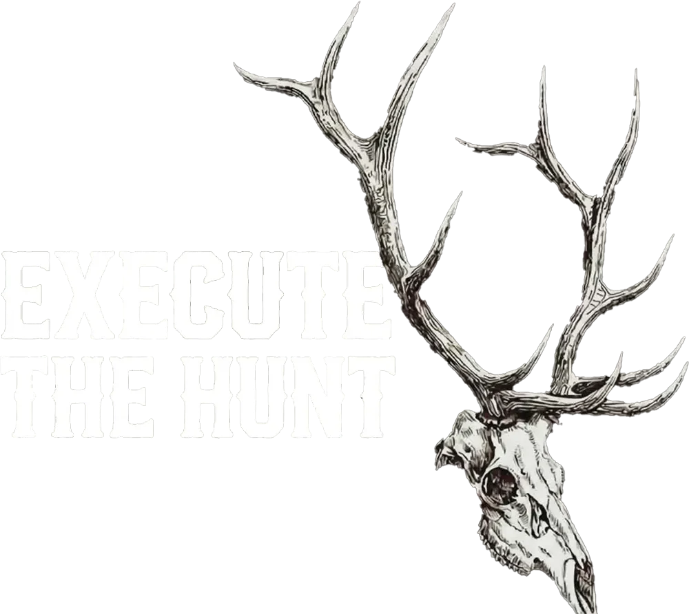Execute the Hunt