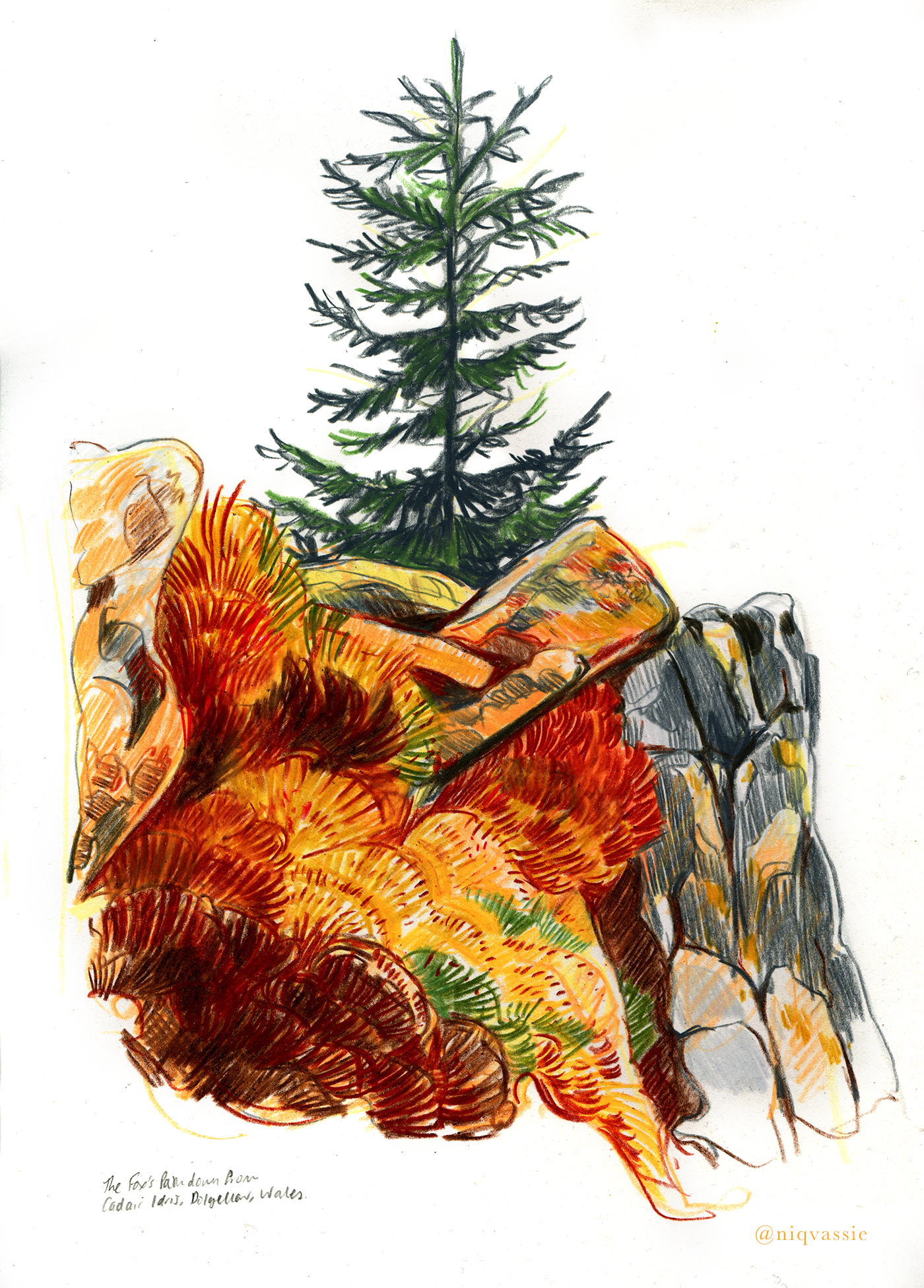 Personal work - the Fox's Path to Cadair Idris, neocolor2 pastels, 2025.