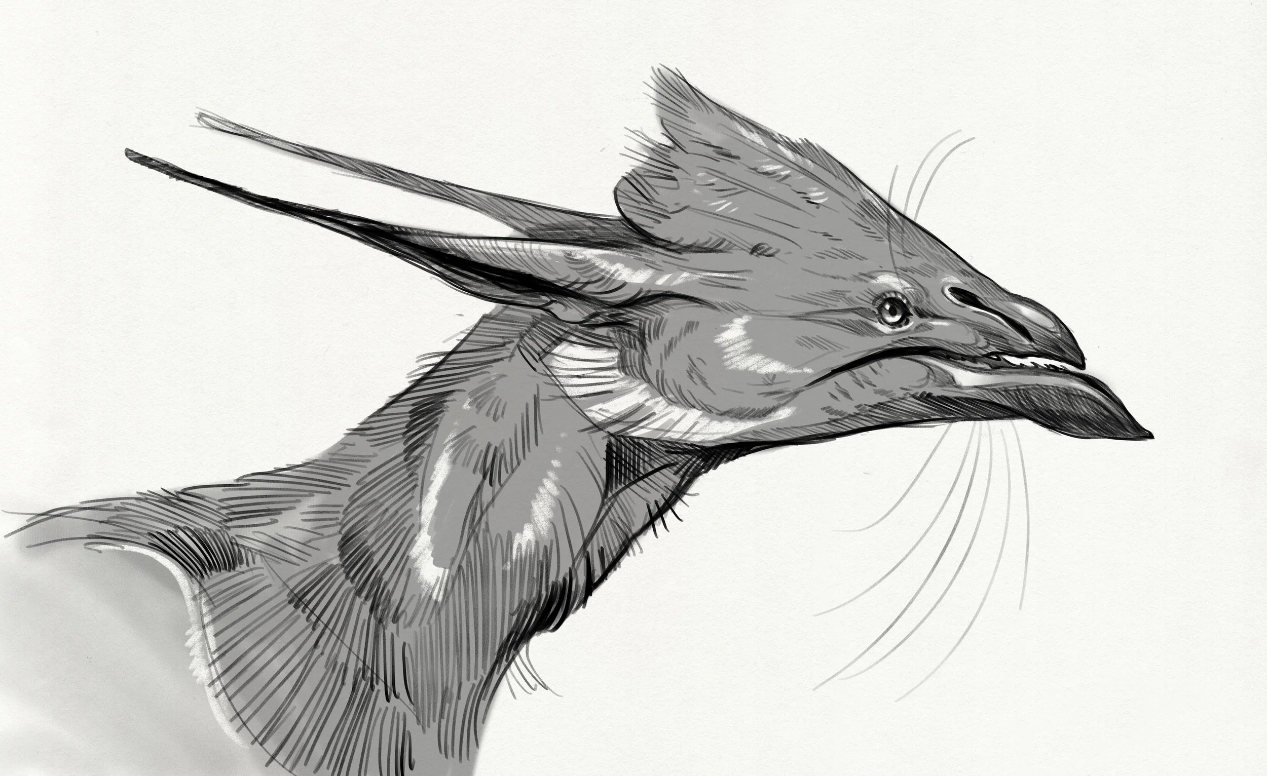 Personal work - creature design, digital, 2022