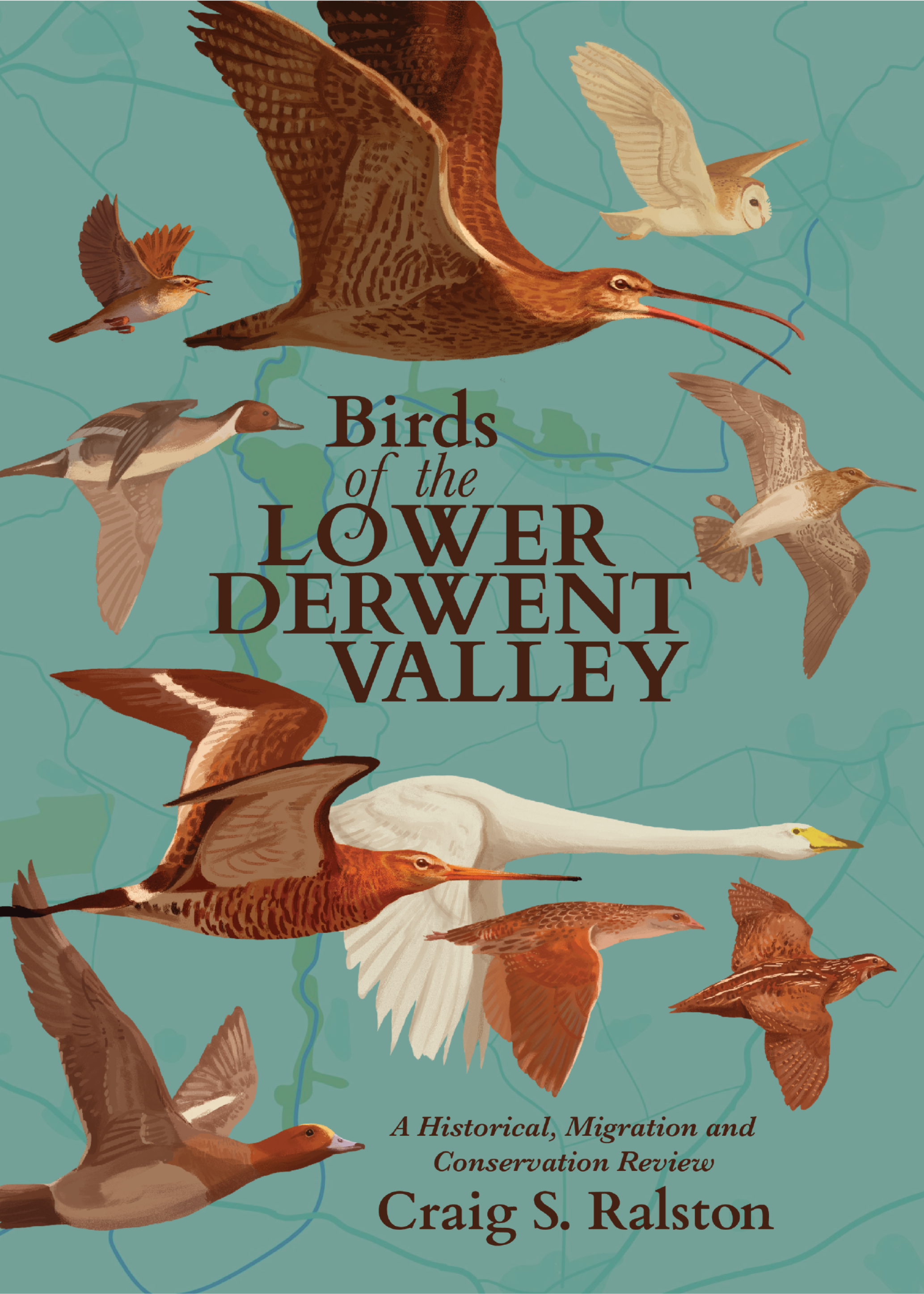 Birds of the Lower Derwent Valley - book cover illustration and design, digital, 2025
