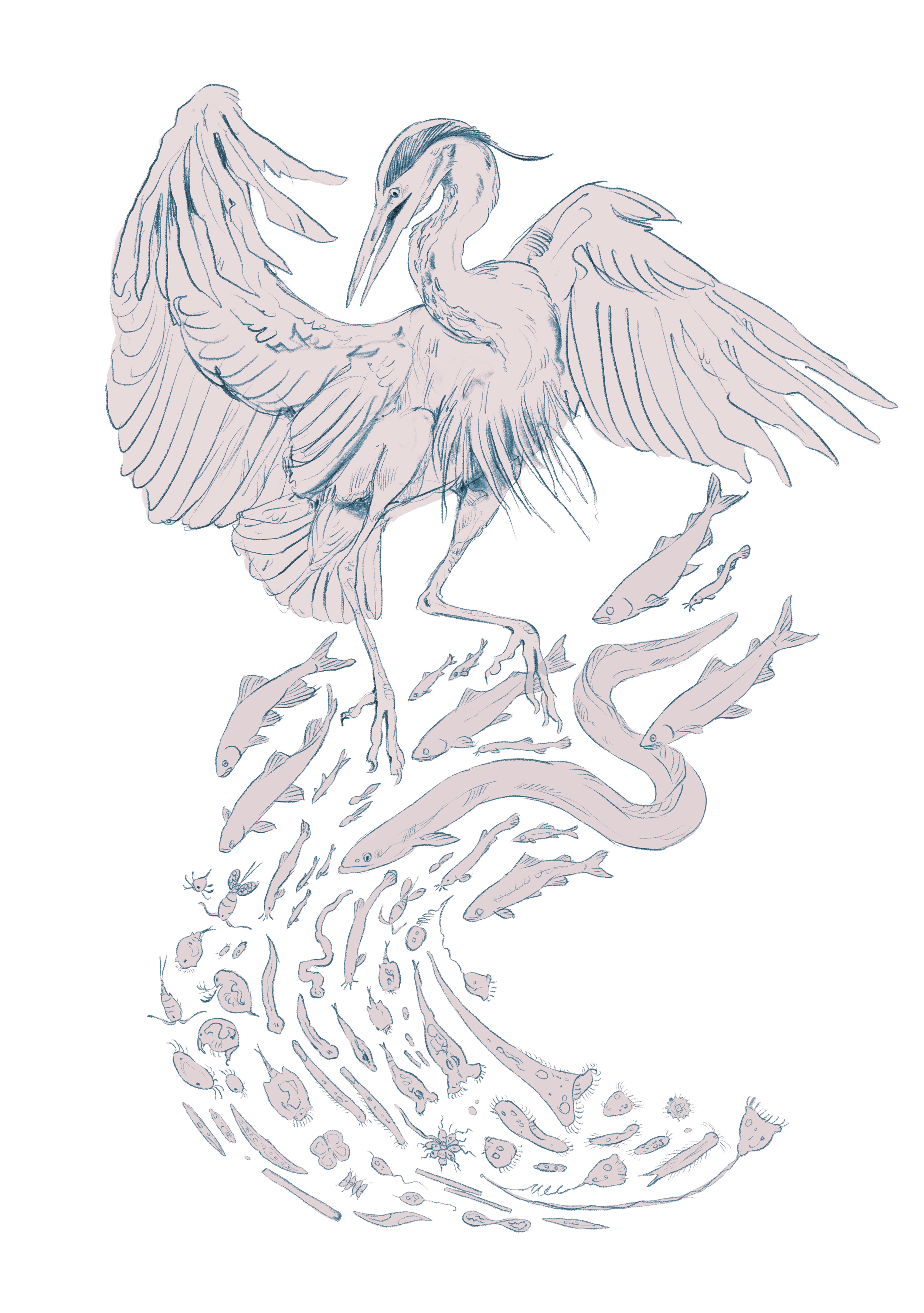 heron_rough5_grey2.png