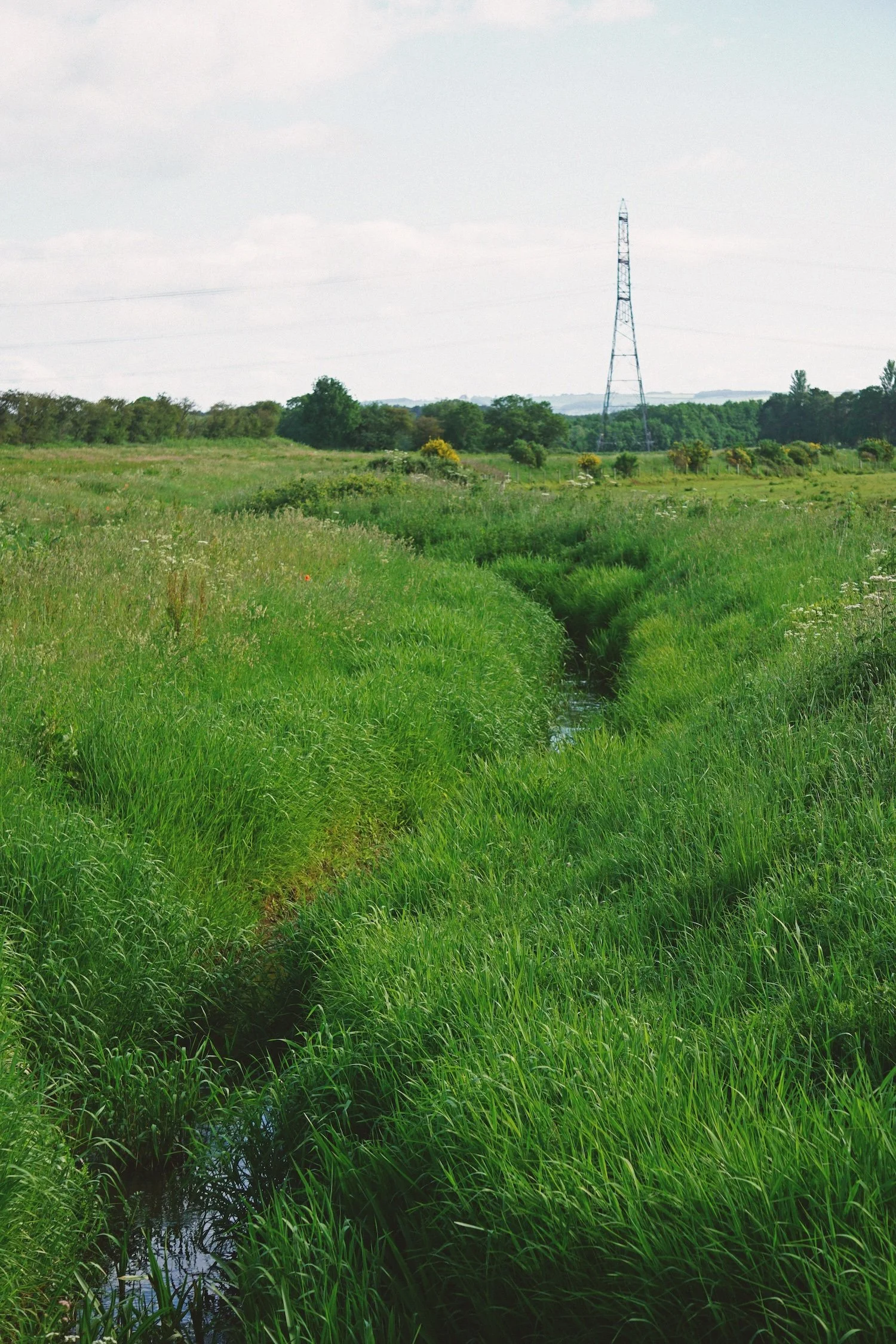 05_31 stream copy.jpg