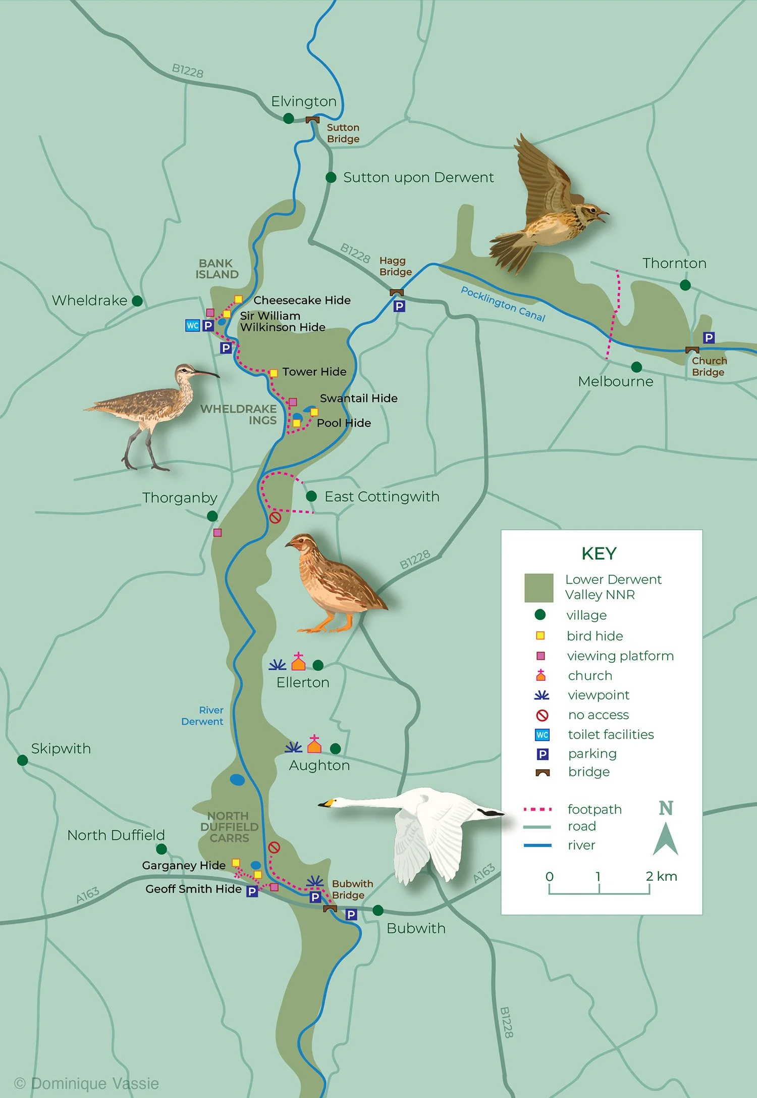 Birds of the Lower Derwent Valley book map, 2025.