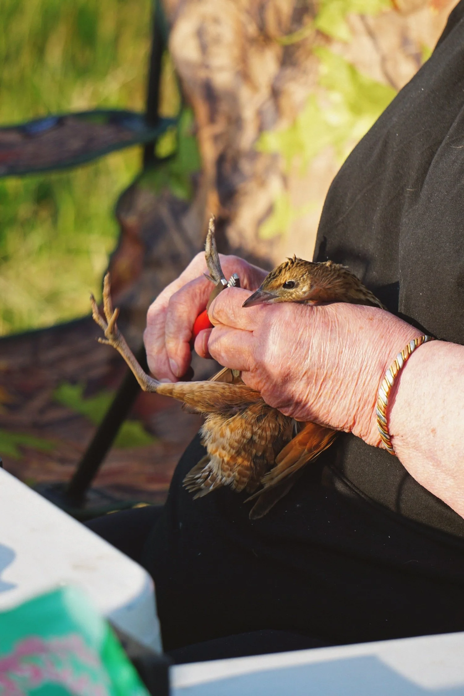 06_23 38 ringing copy 2.jpg