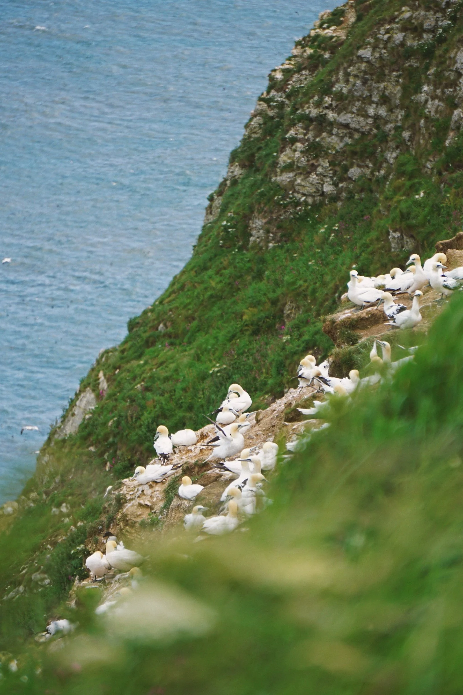 06_15 bempton4 copy.jpg