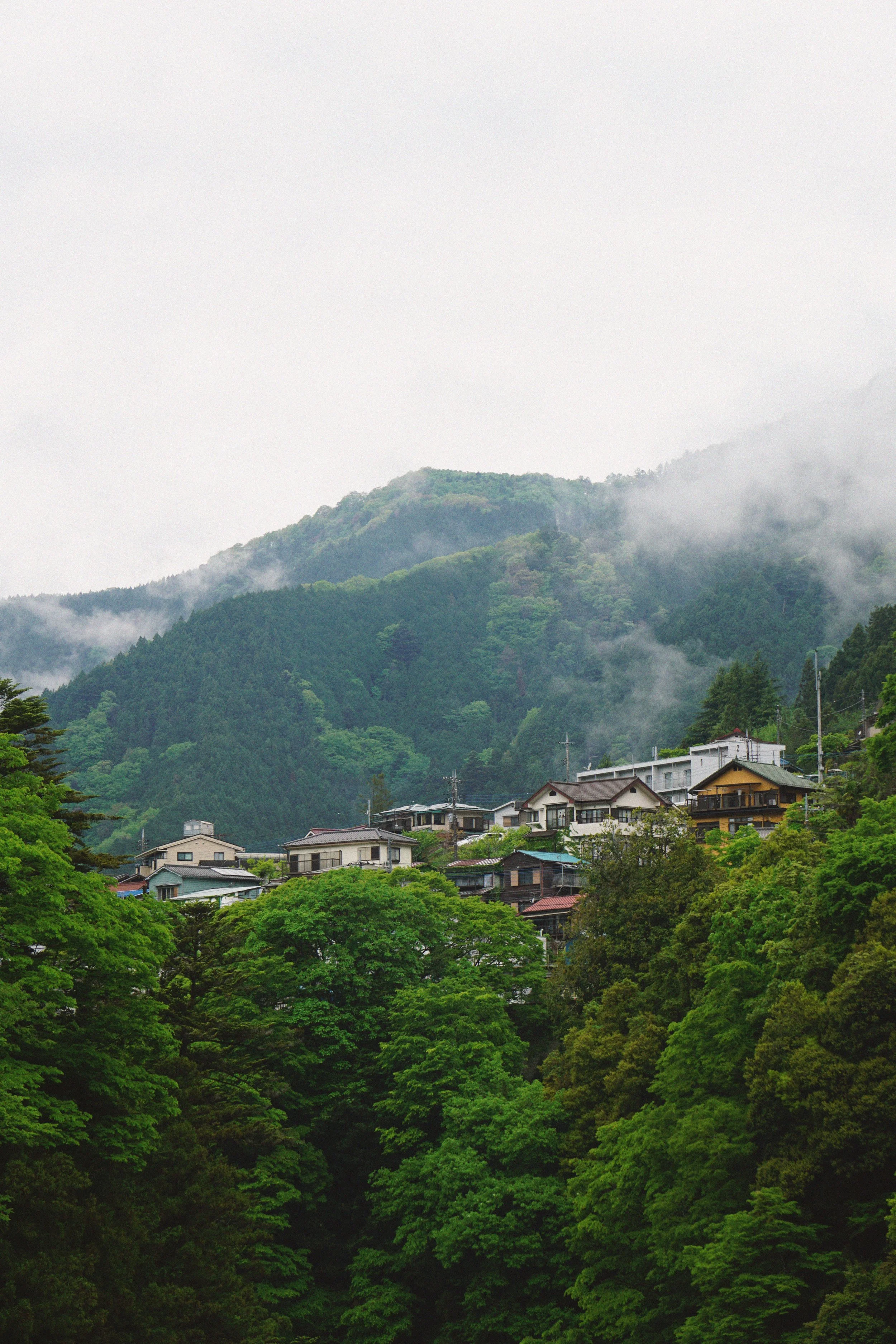 04_30_okutama1.jpg