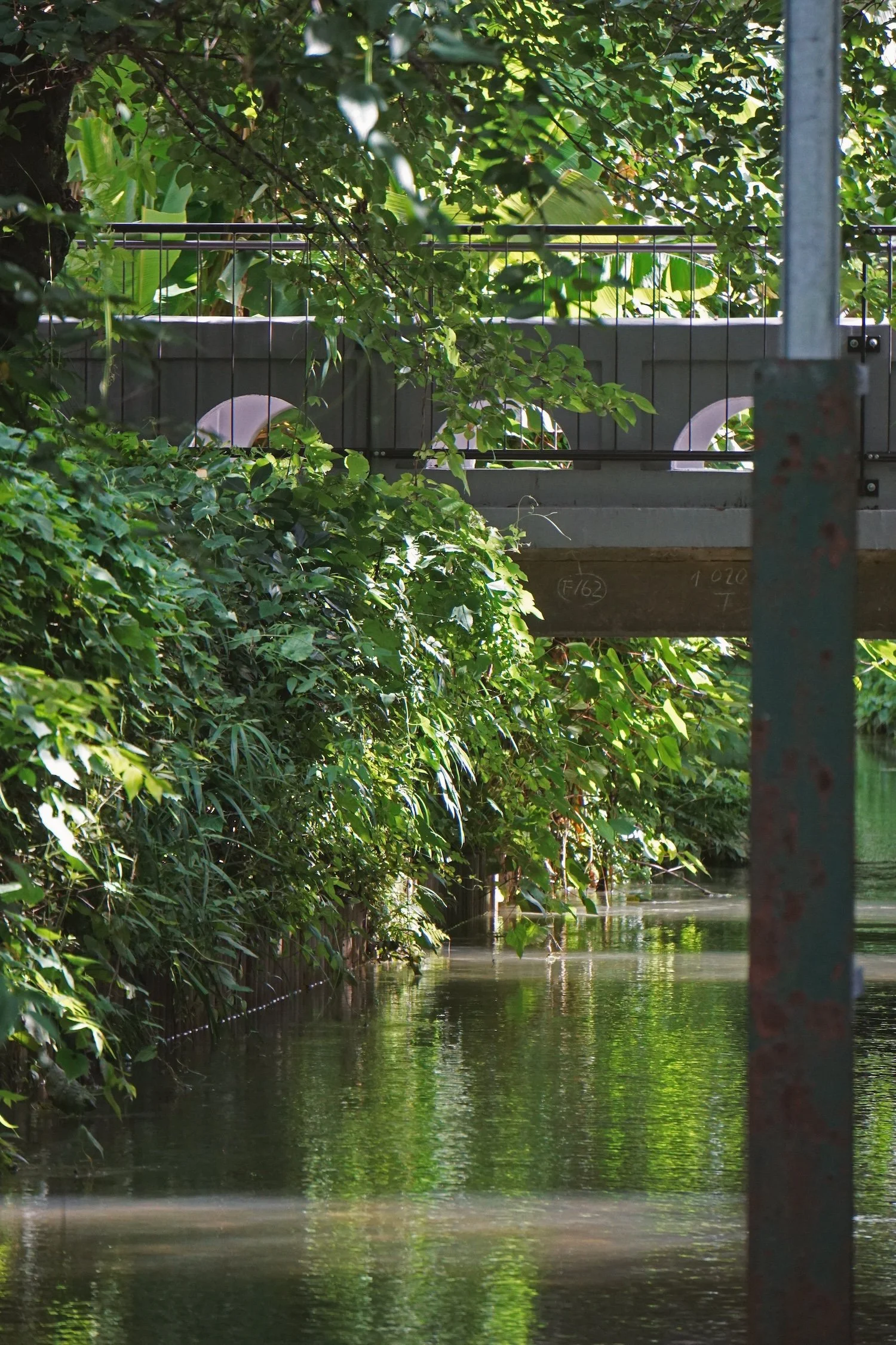 08_14 4 stream copy.jpg