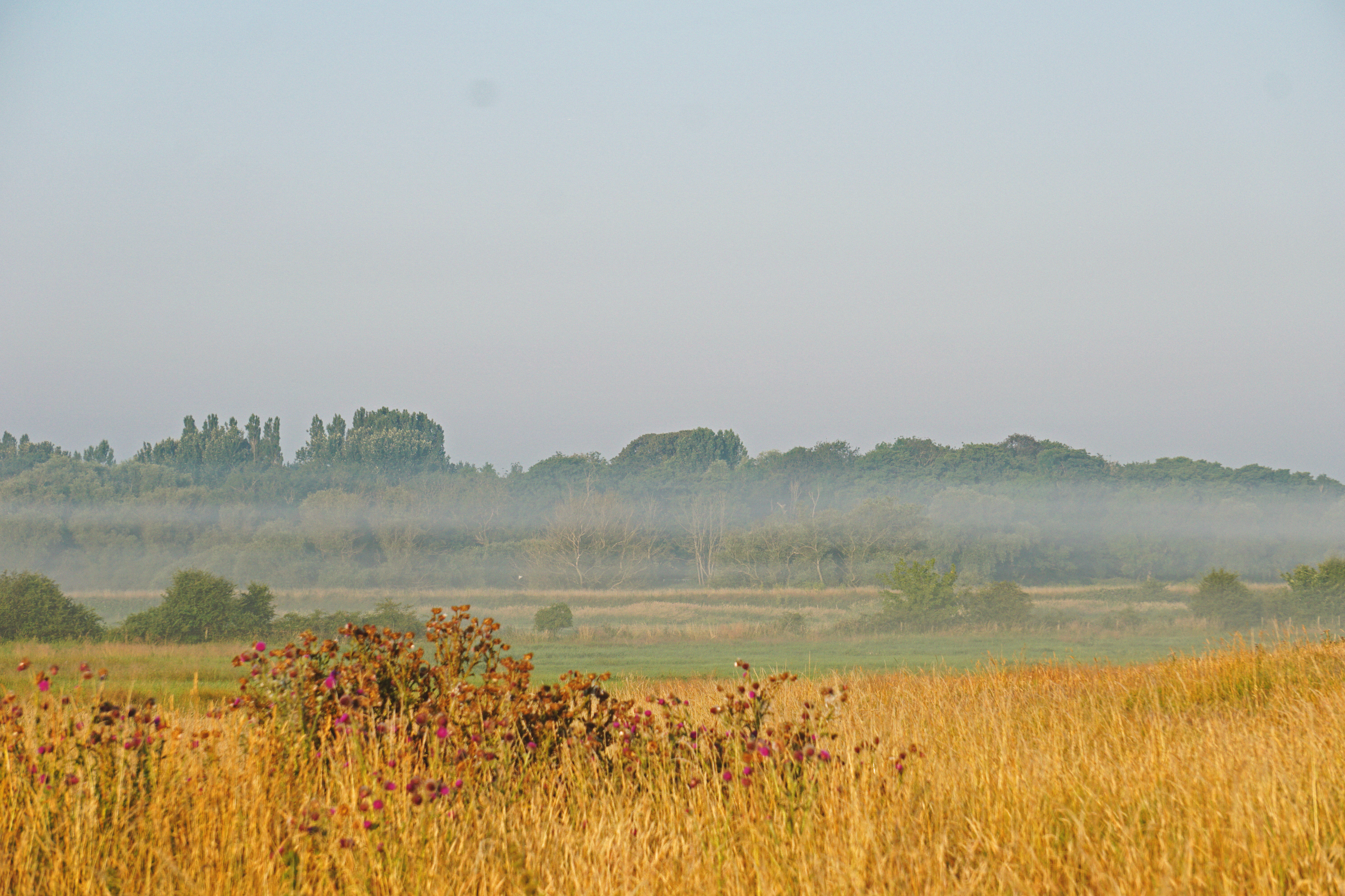 07_09 3 mist copy 2.png