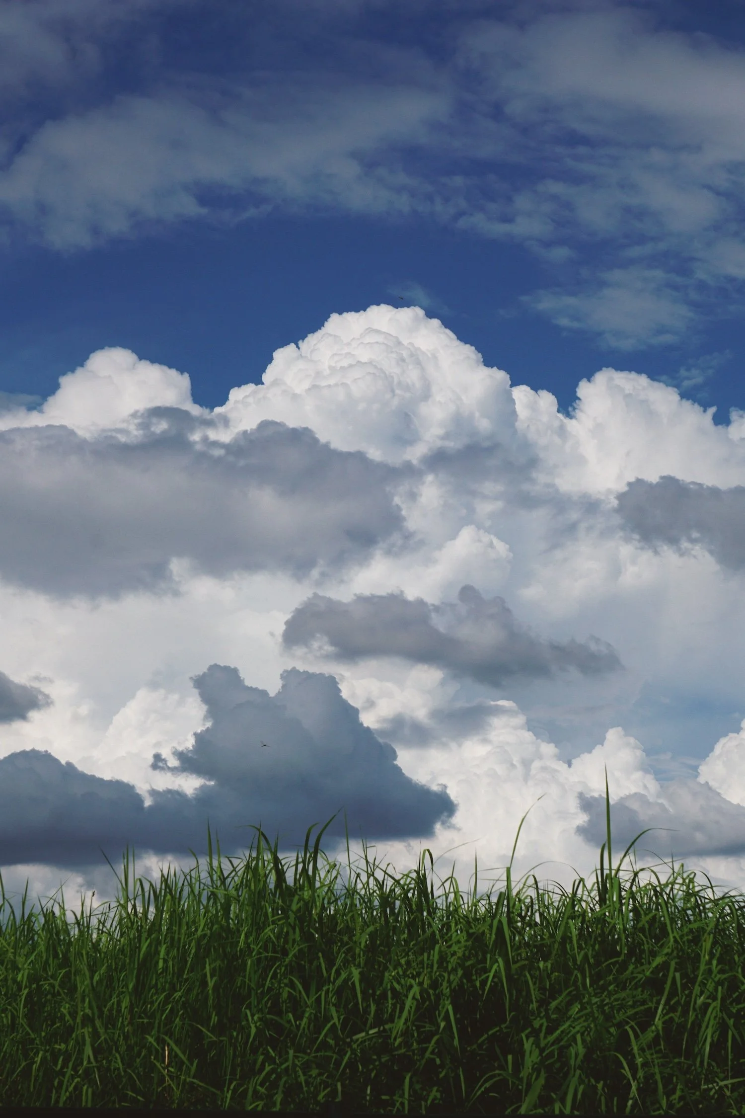 08_14 3 clouds2 copy.jpg