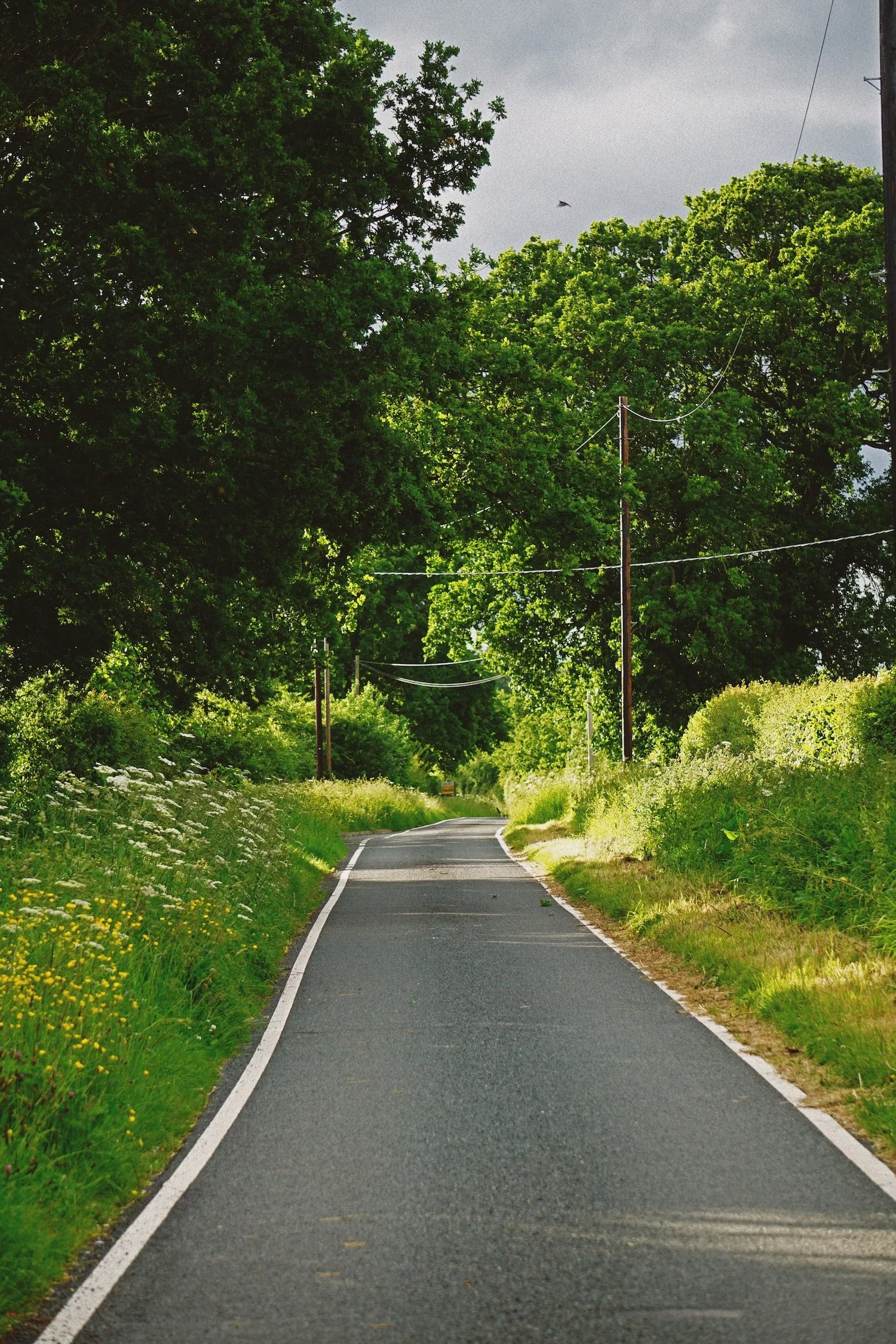 06_05 road copy.jpg