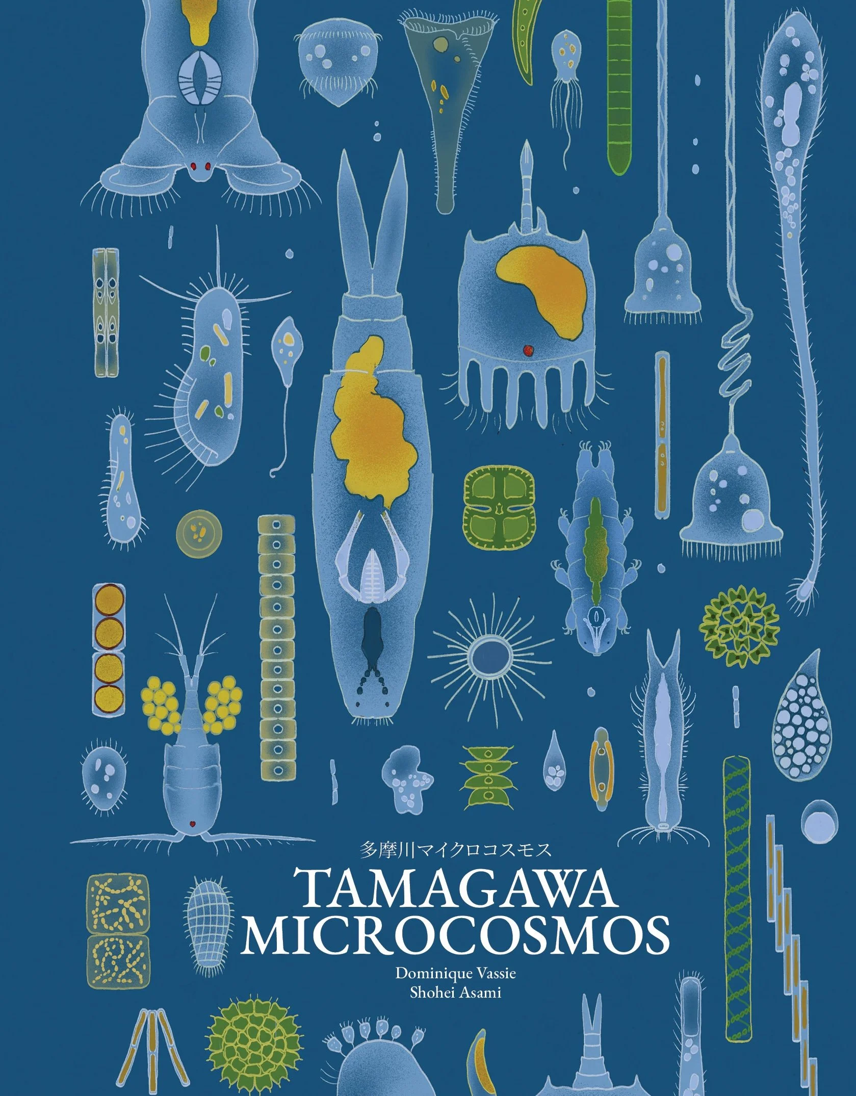 Personal work - Tamagawa Microcosmos book cover, digital, 2025