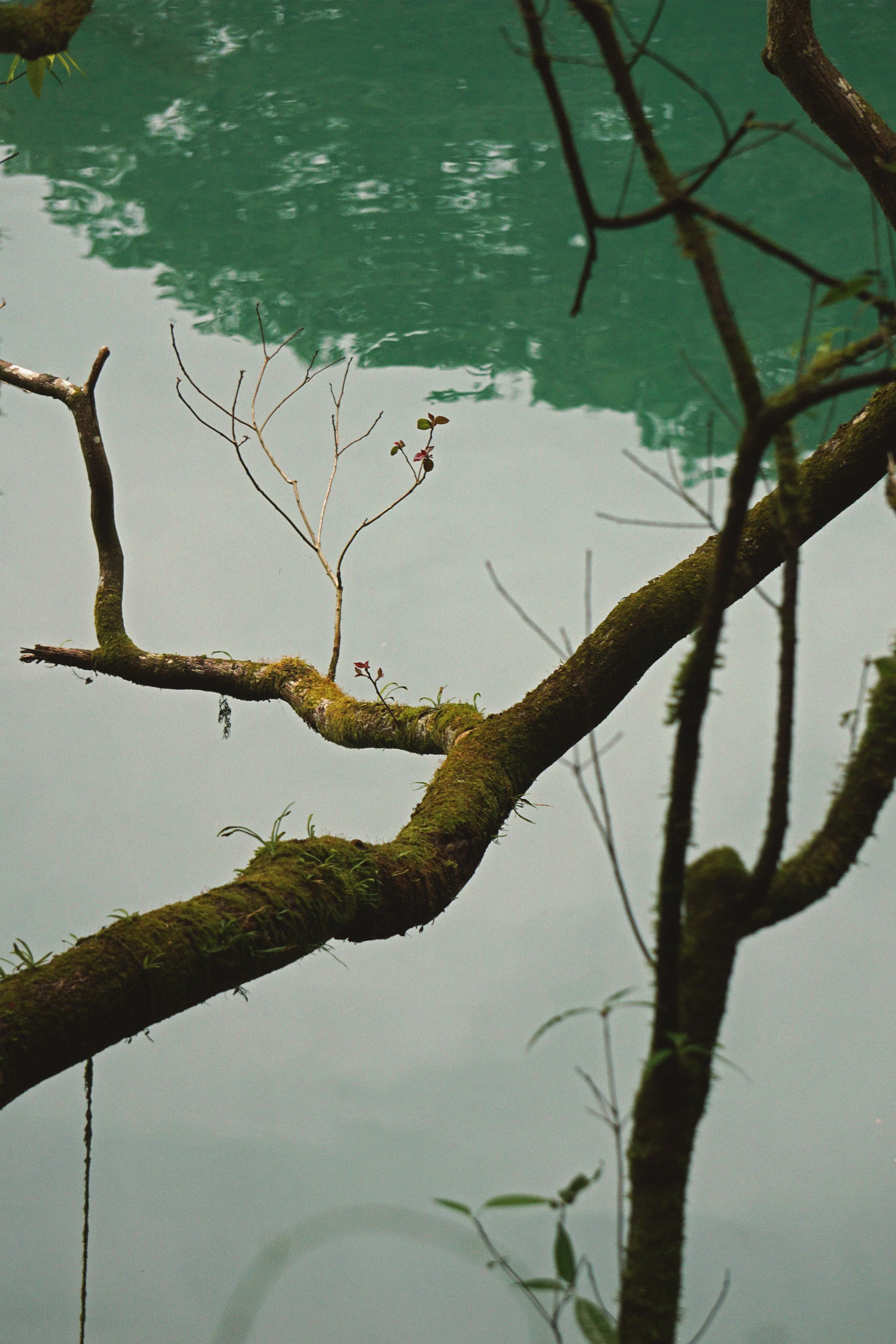 04_30_okutama3.jpg