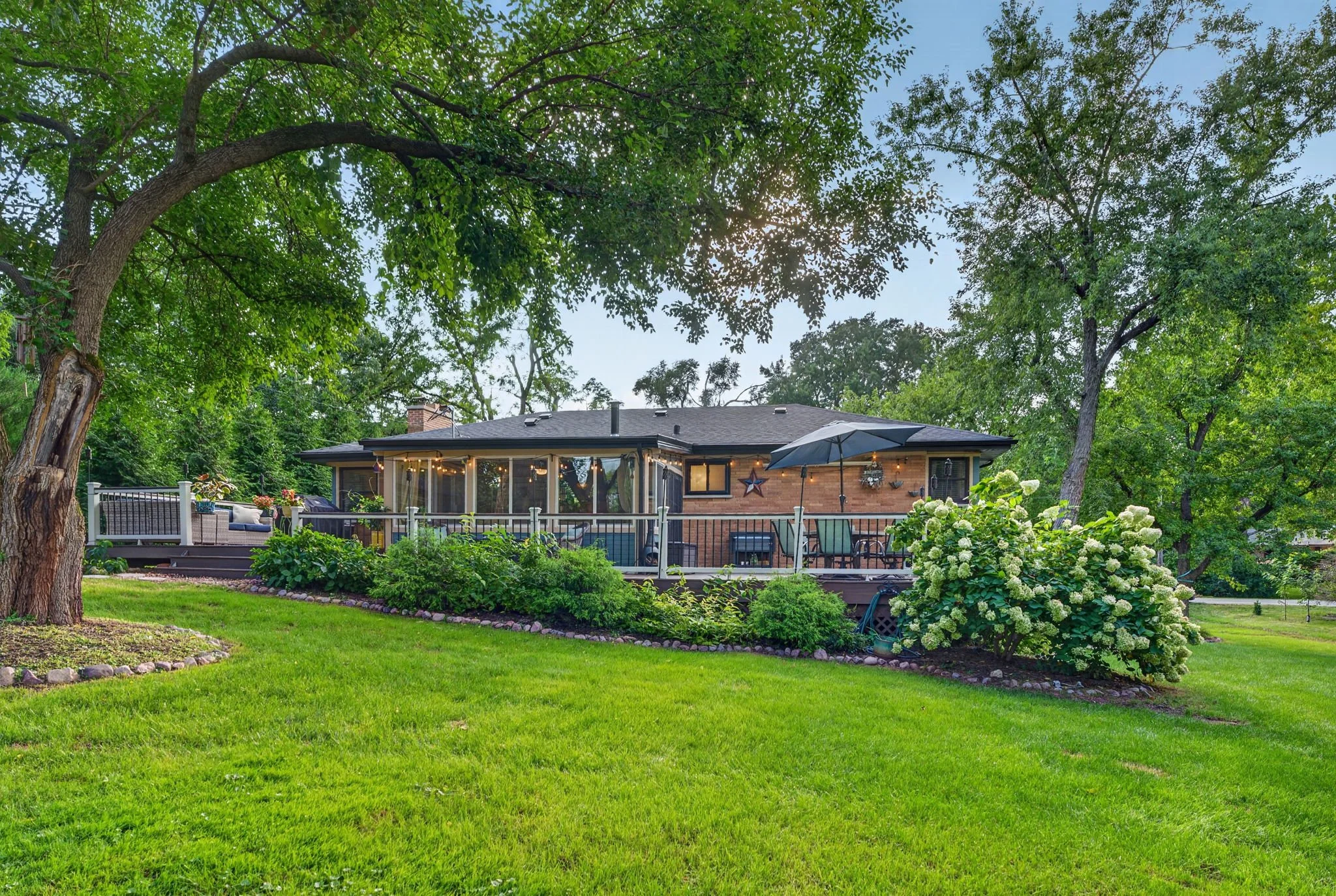 yard deck tree west.jpg
