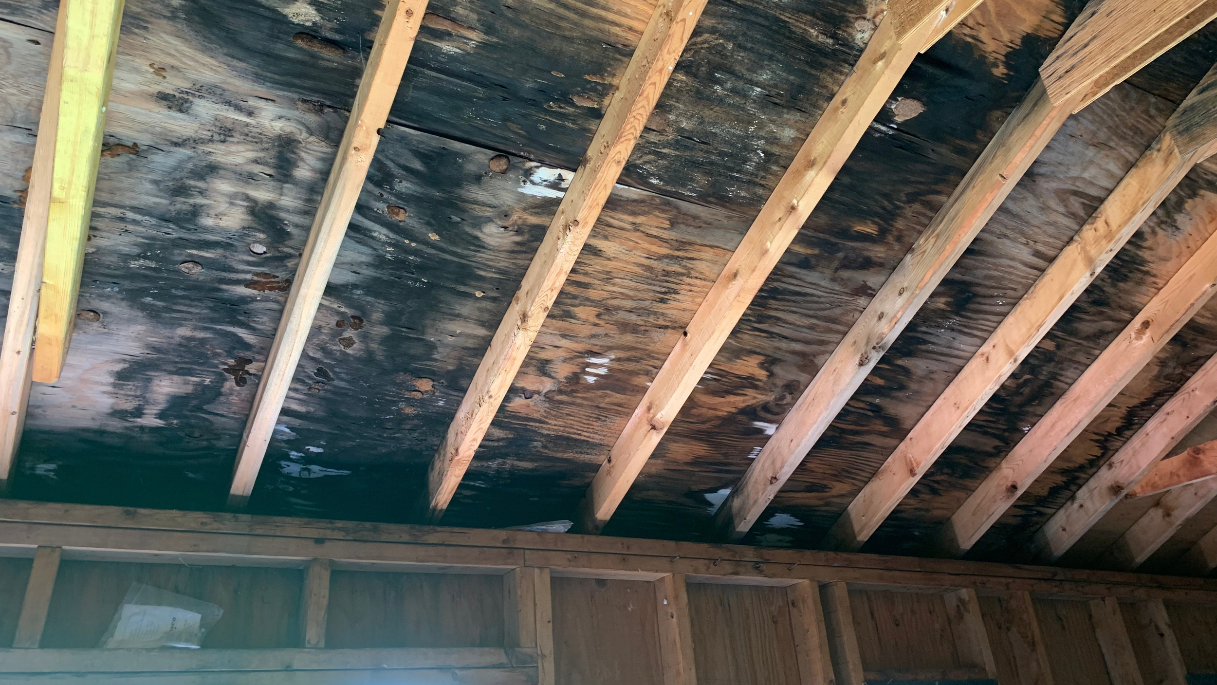 Certified Mold Remediation