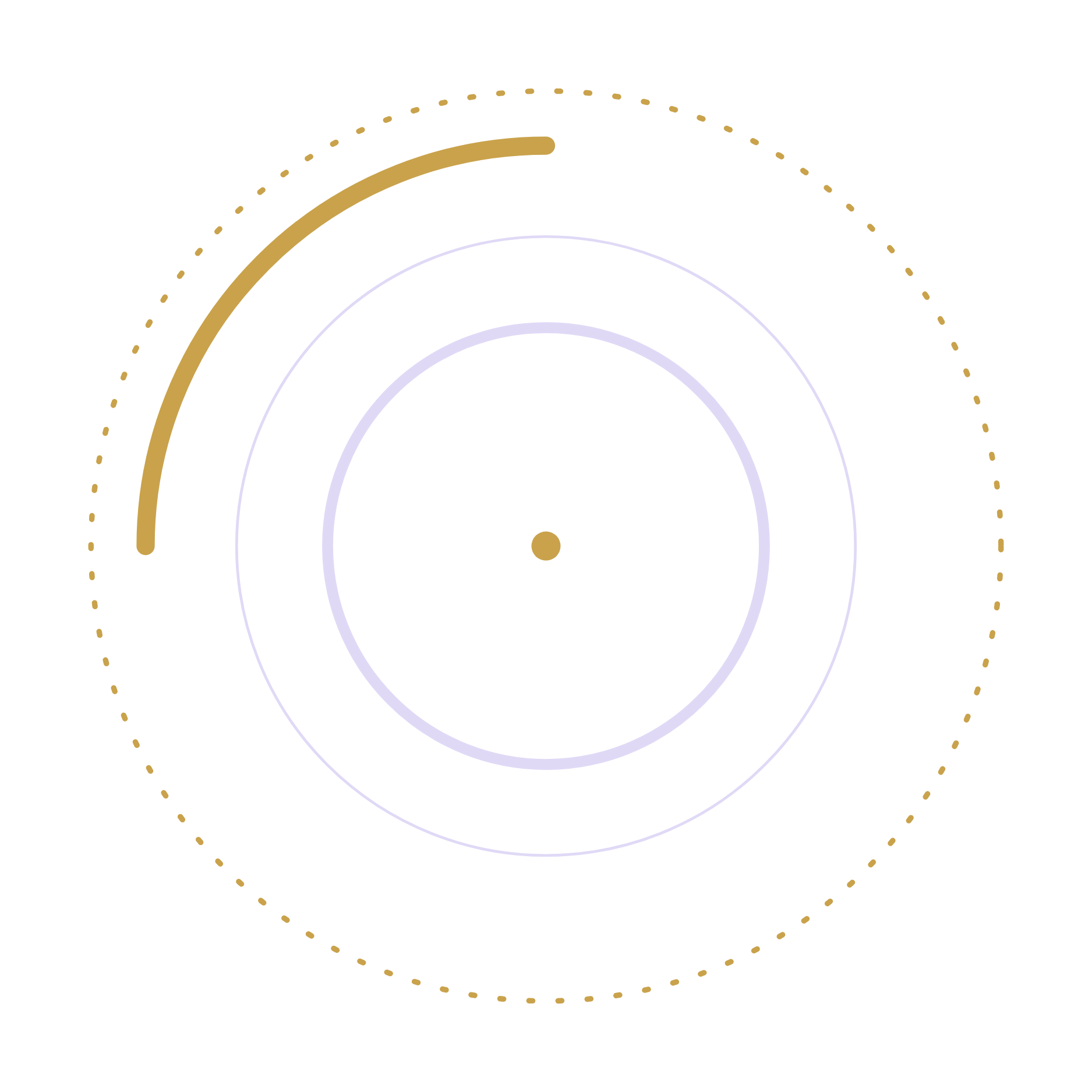 08_gold_accent_rings_transparent.png