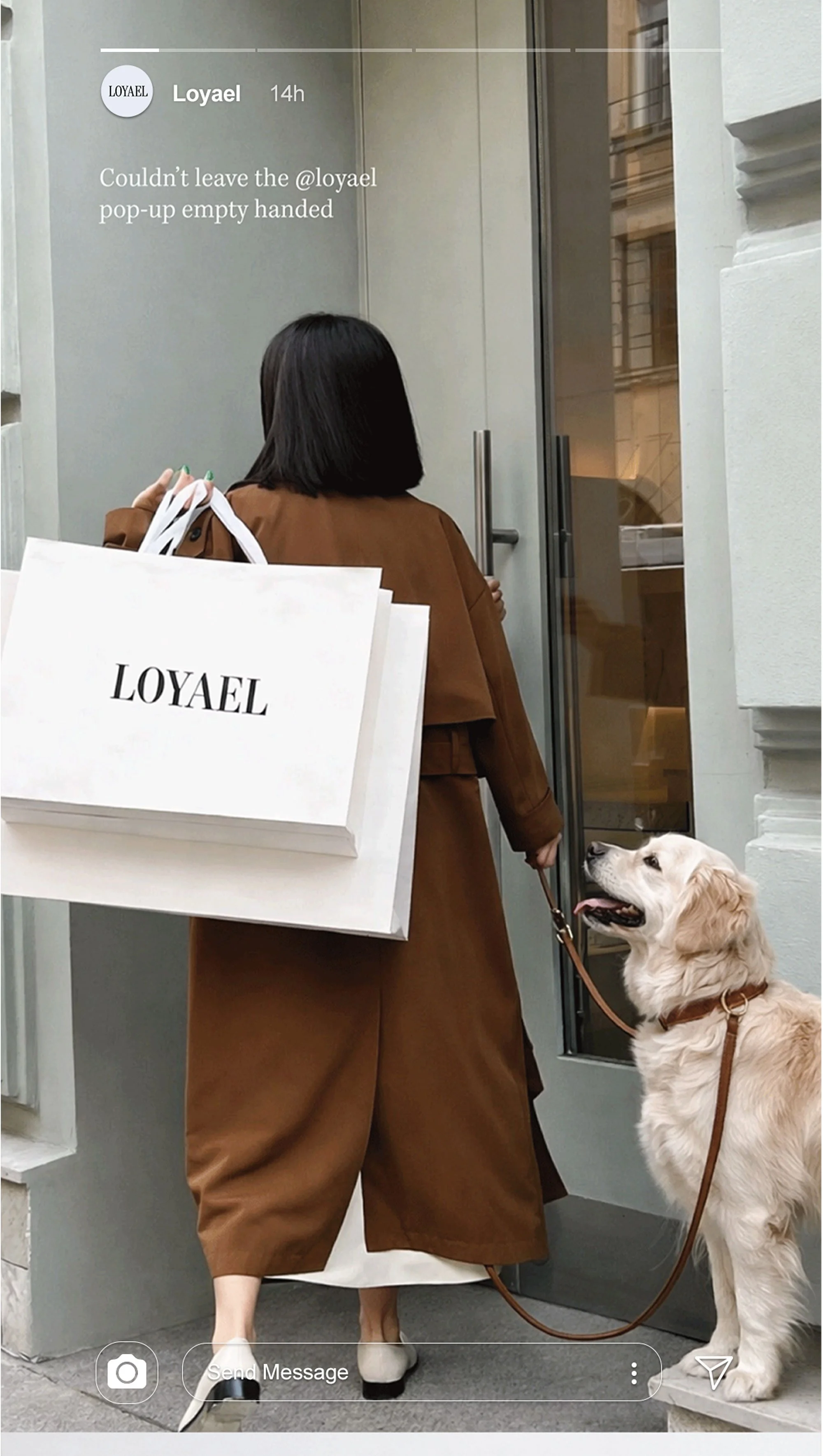 Loyael Dog Shampoo