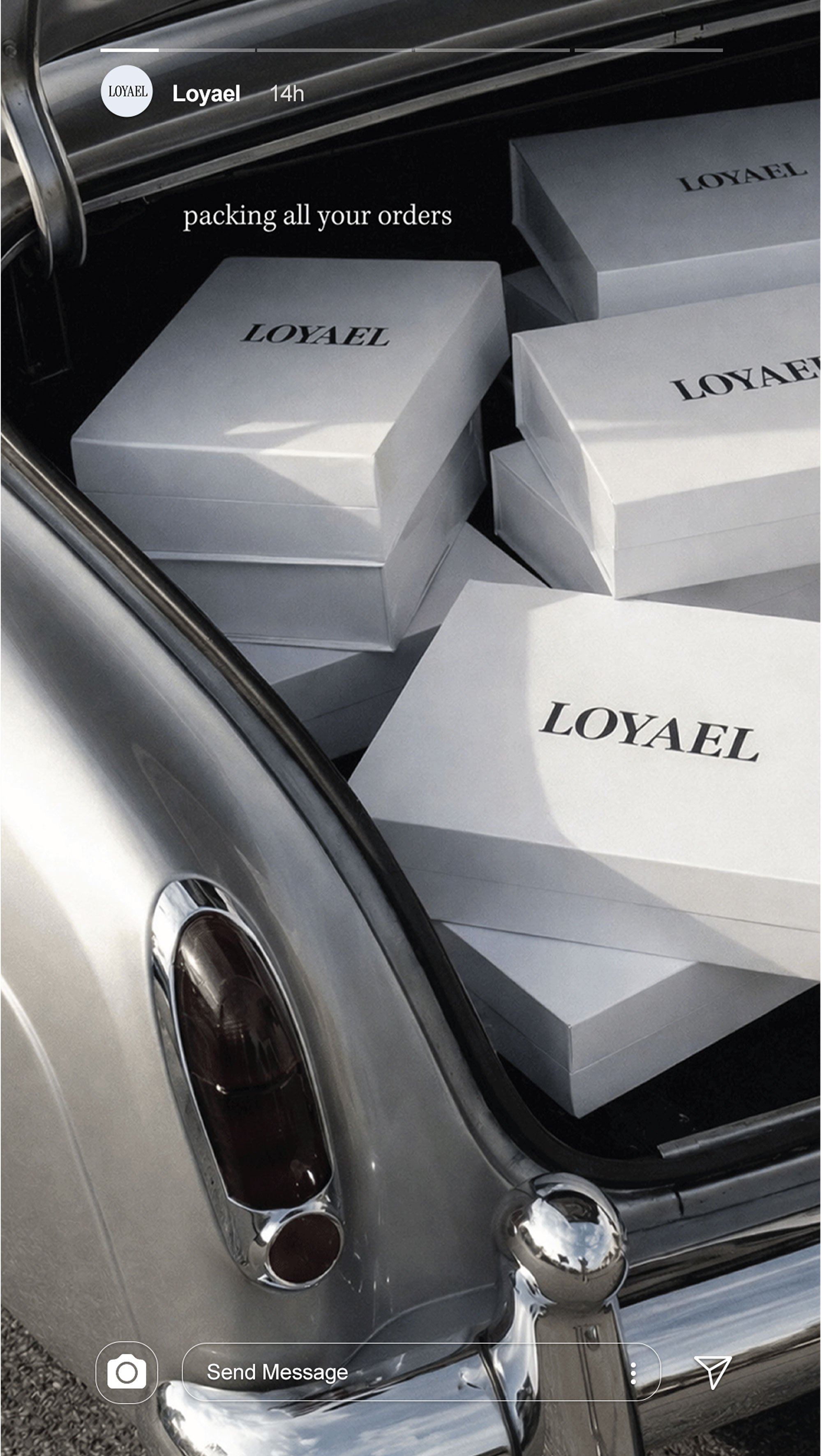Loyael Dog Shampoo