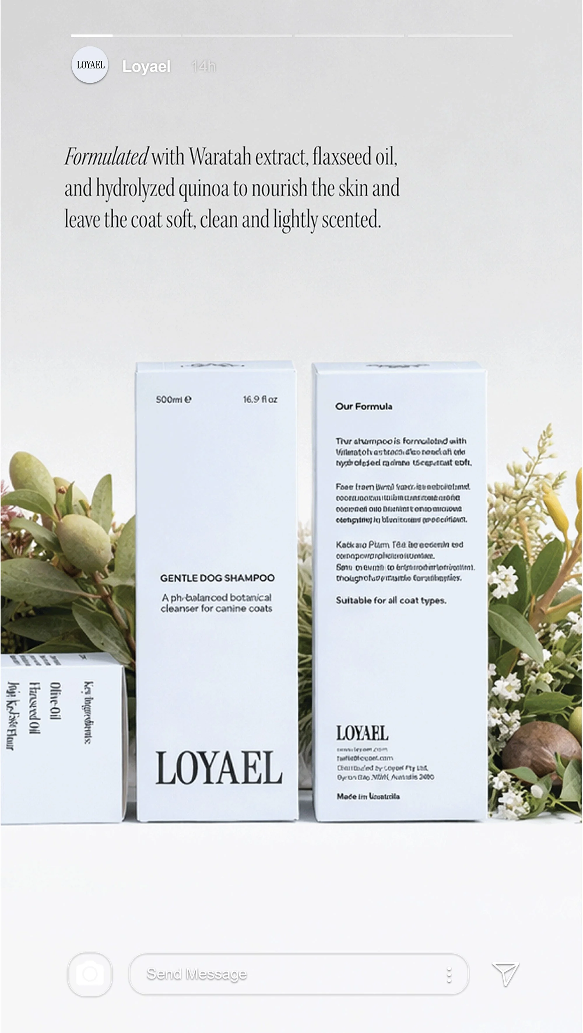 Loyael Dog Shampoo