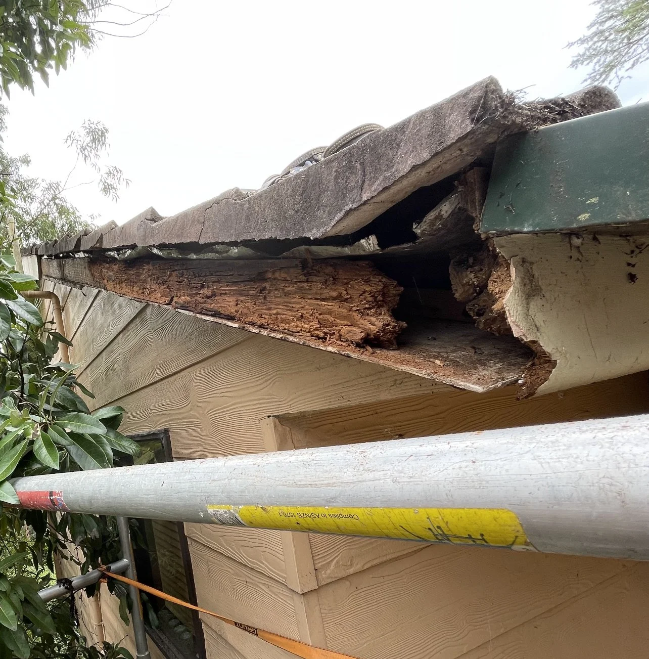 fascia barge board roof timber repairs replaced