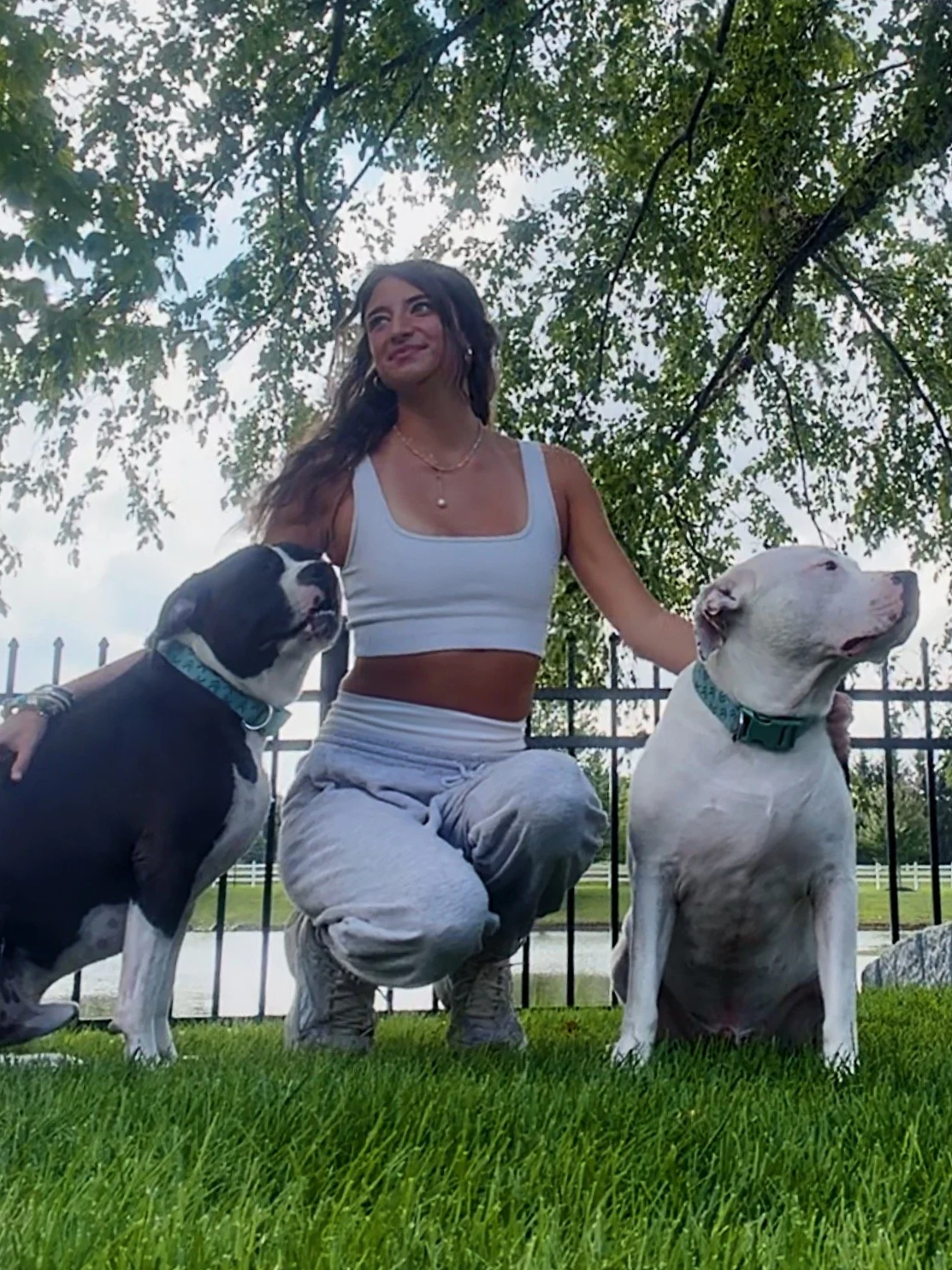 A woman is kneeling on the grass between two dogs with a tree and a fence in the background.