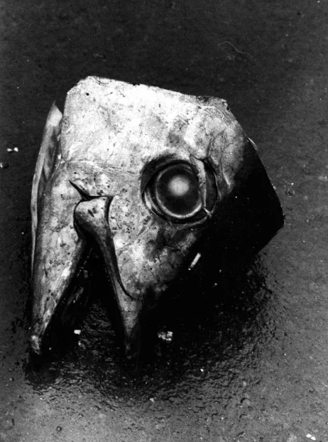 A metallic sculpture of a fish head with a large eye, lying on a dark surface.