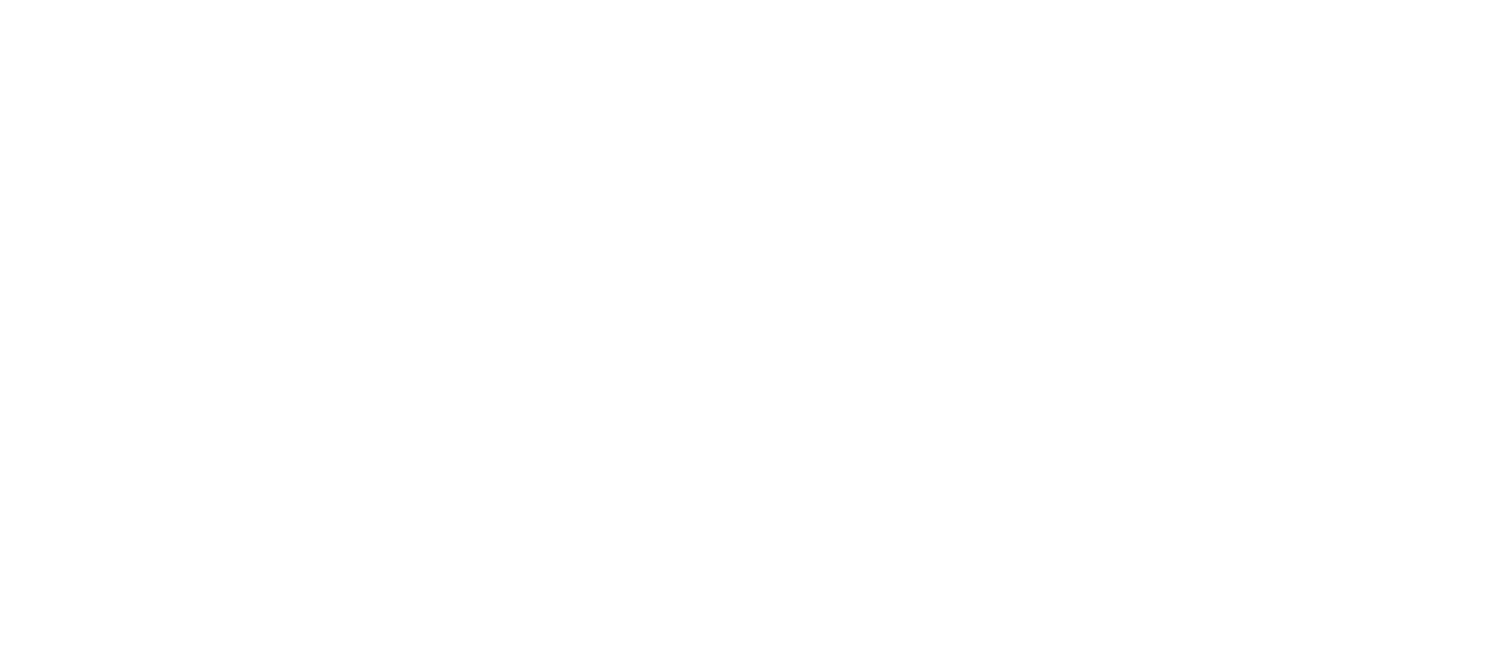 LOST AND FOUND BAR