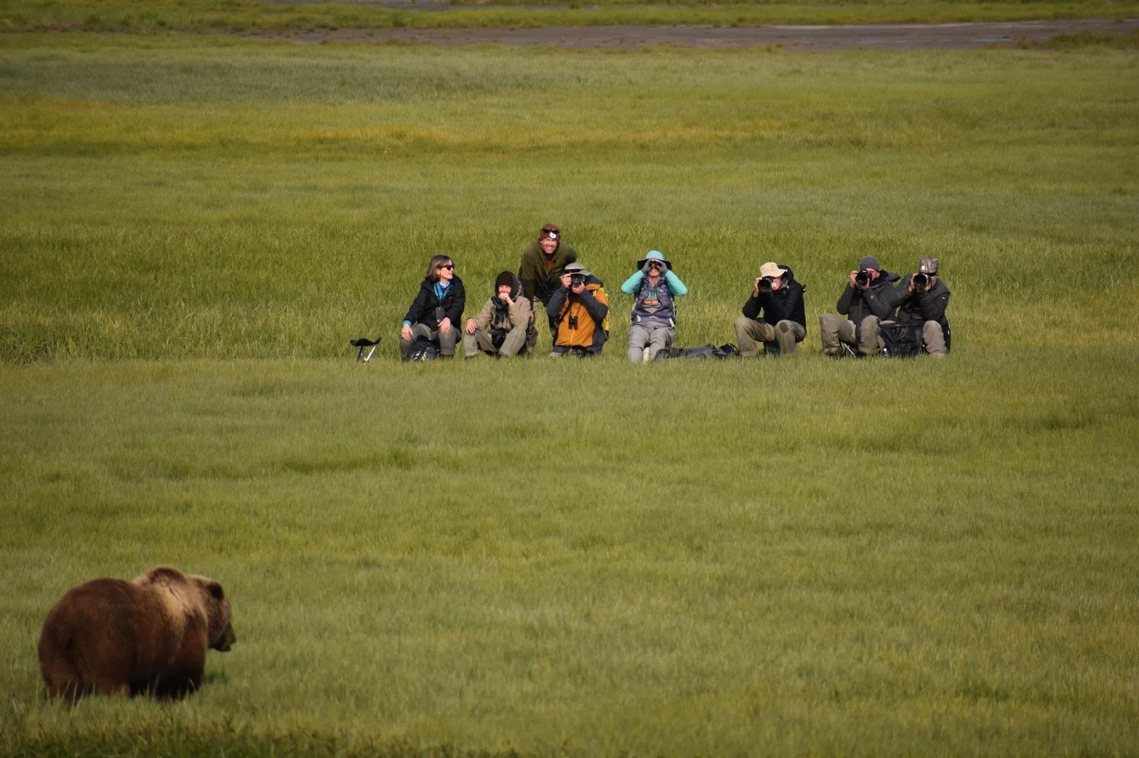 A group of seven people with cameras, some using binoculars and wearing outdoor clothing, are sitting and kneeling on green grass in a wide open field, observing a brown bear in the foreground.