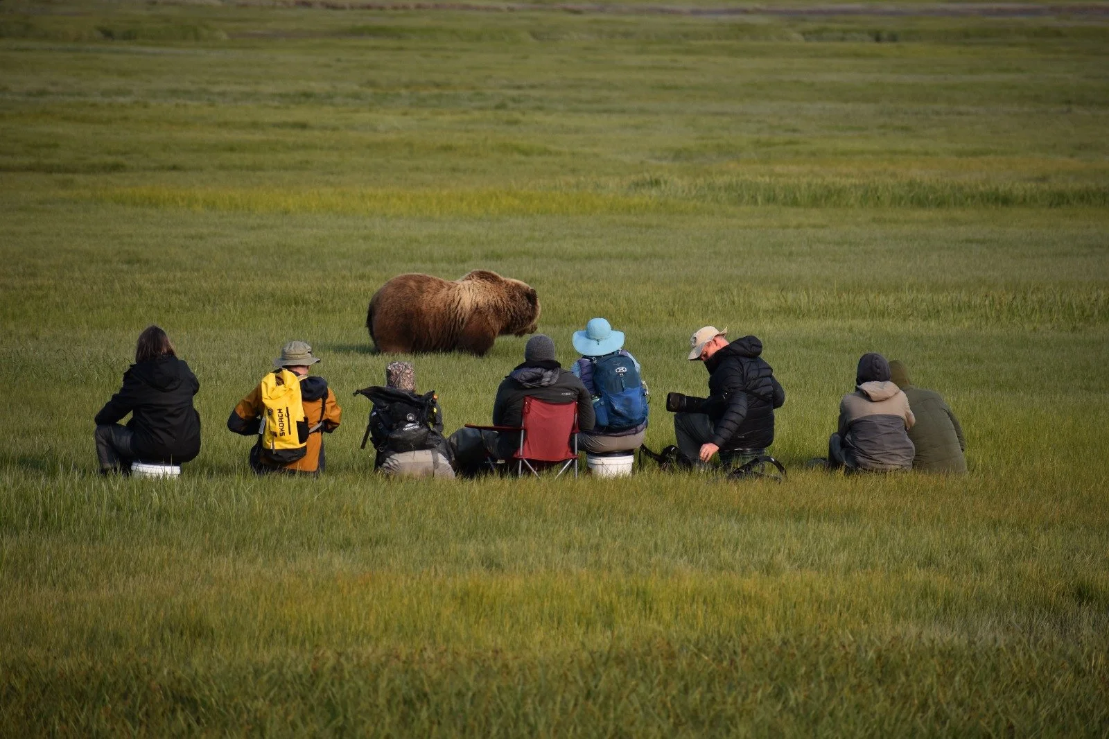A group of people sitting on the grass near a bear in a natural outdoor setting.