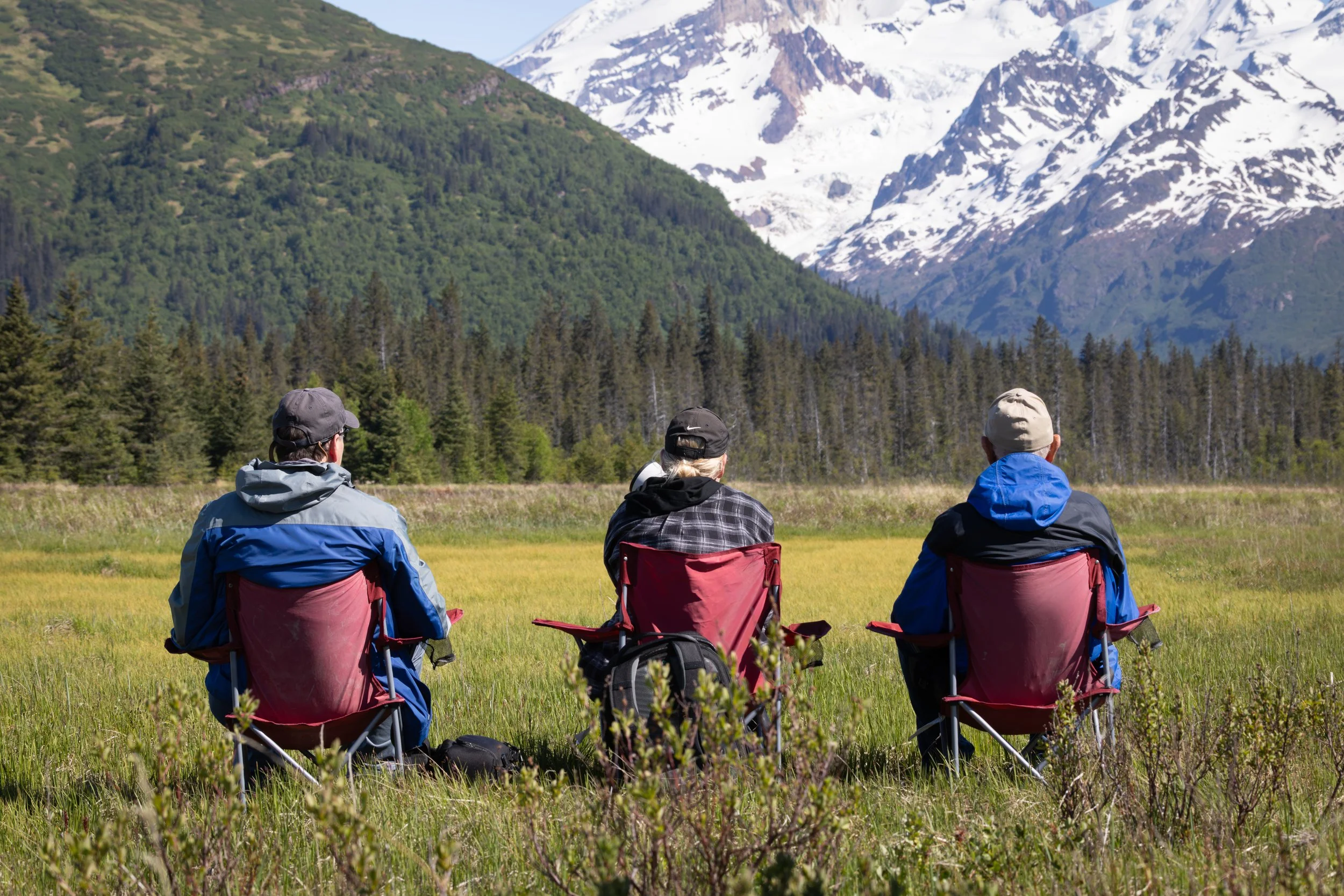 Three people sitting on chairs in a grassy field, facing a landscape with dense forest and snow-capped mountains.