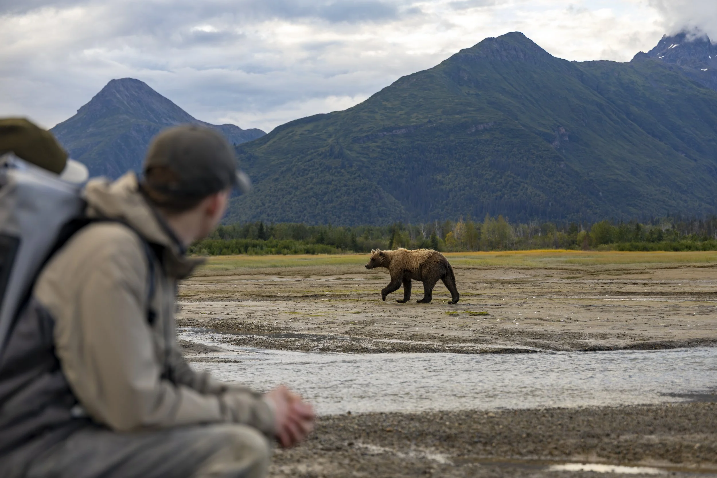 Person sitting outdoors with mountains in the background, a bear walking nearby, and cloudy sky overhead.