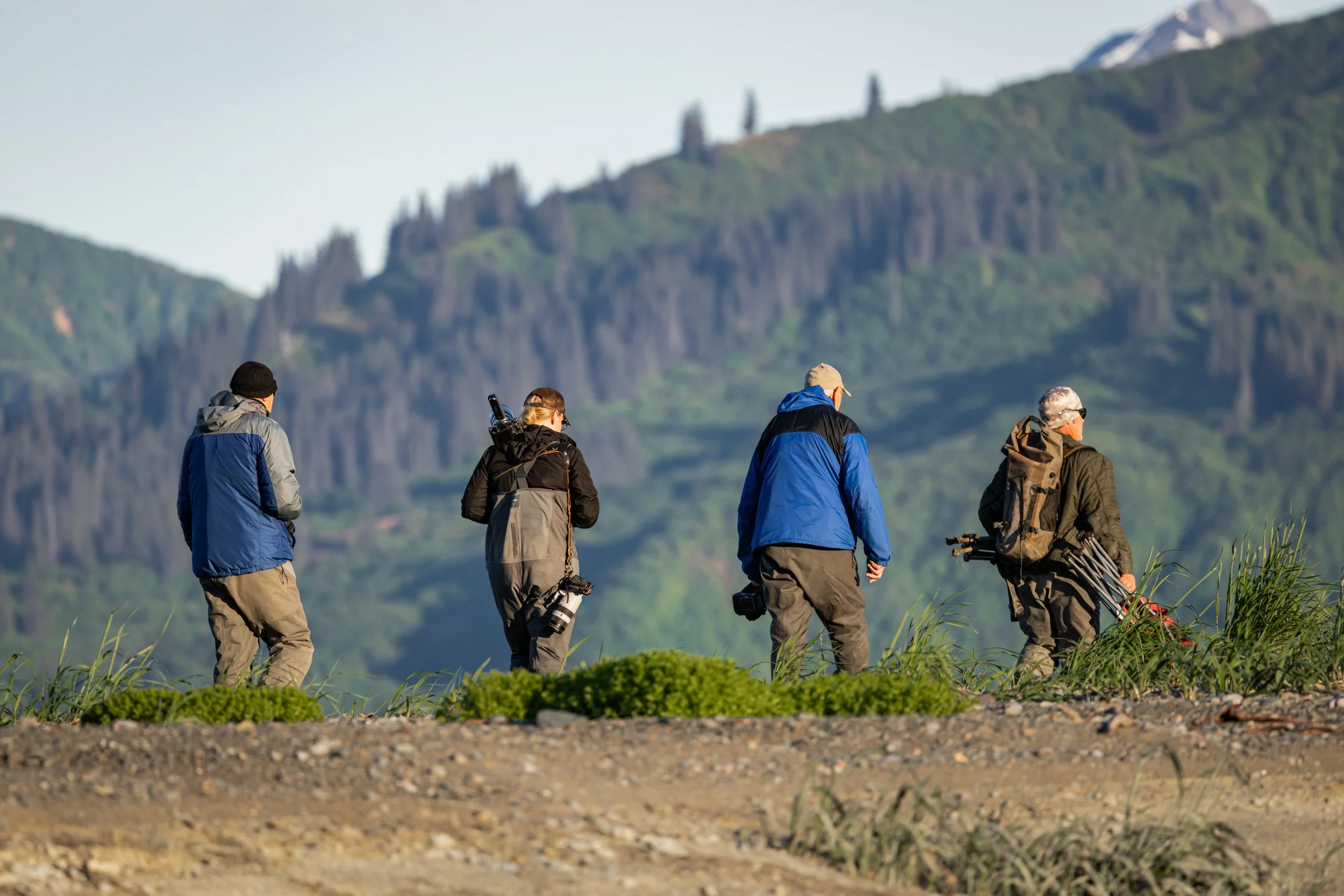 Group of four hikers walking along a trail in a mountainous area with lush green scenery and snow-capped peaks in the background.