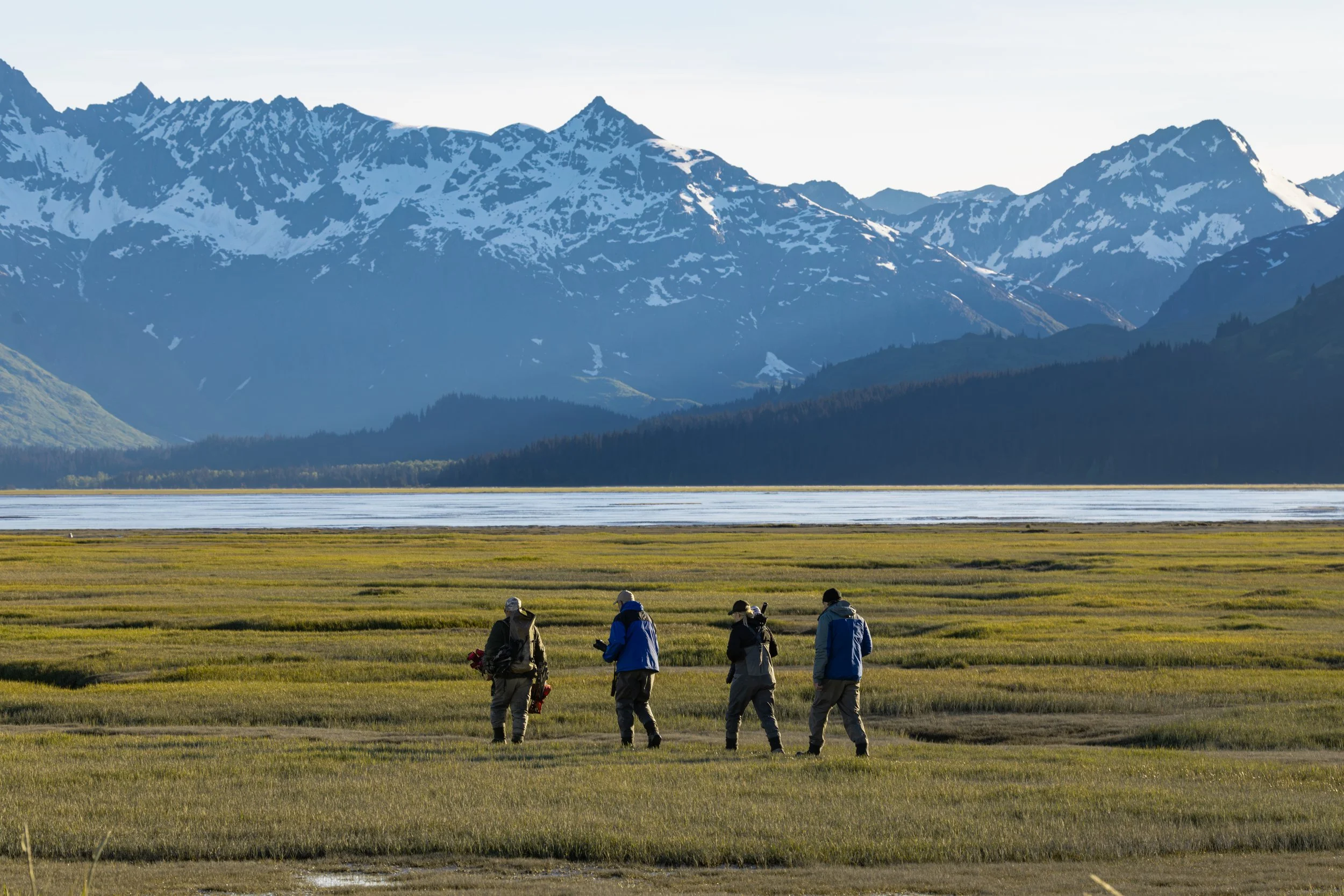 A group of people walking on green grass near a body of water with snow-capped mountains in the background.
