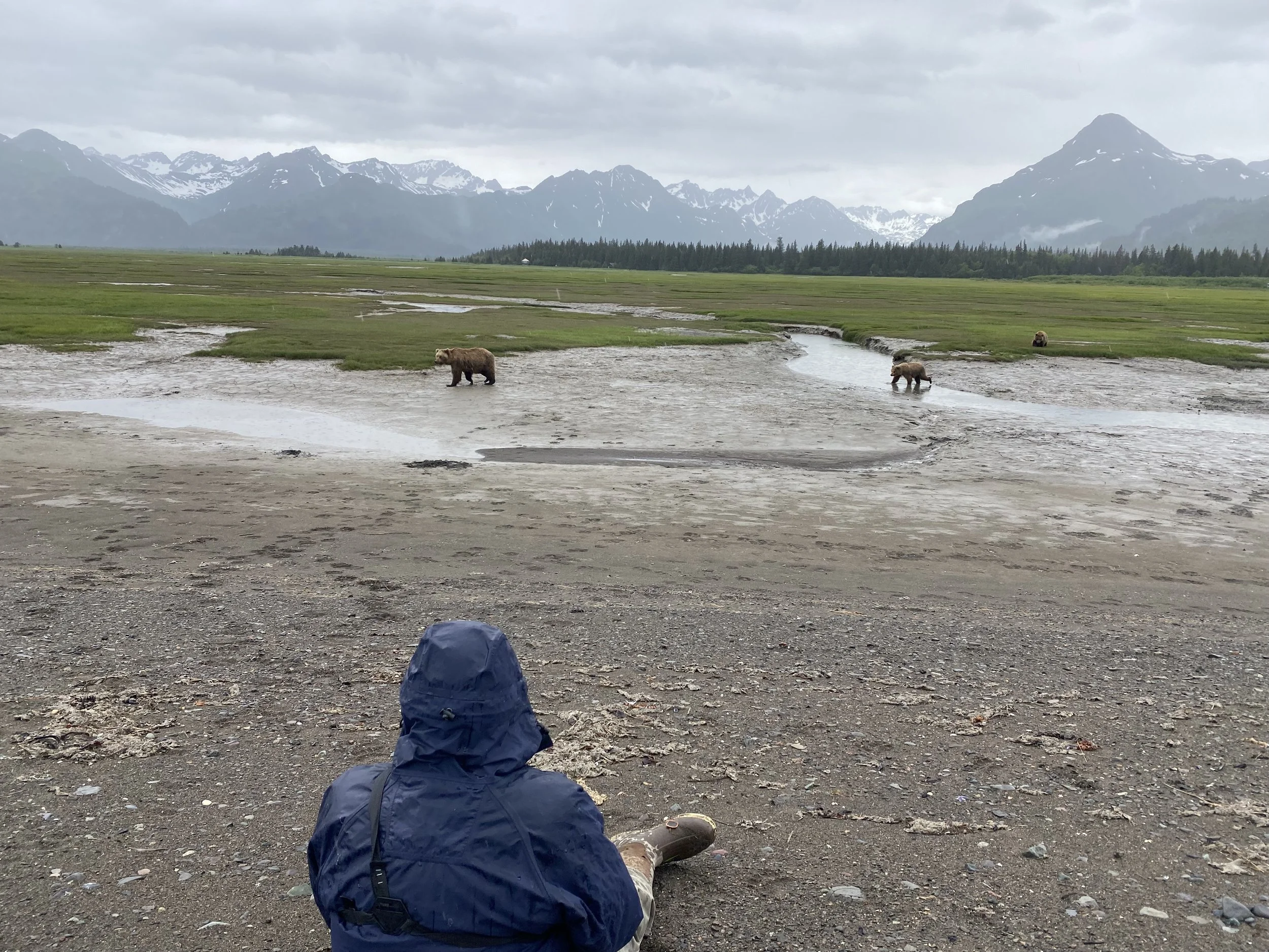 Person wearing a blue rain jacket sitting at a gravel outdoor location, looking at a river with three bears in a green valley with mountains and cloudy sky in the background.