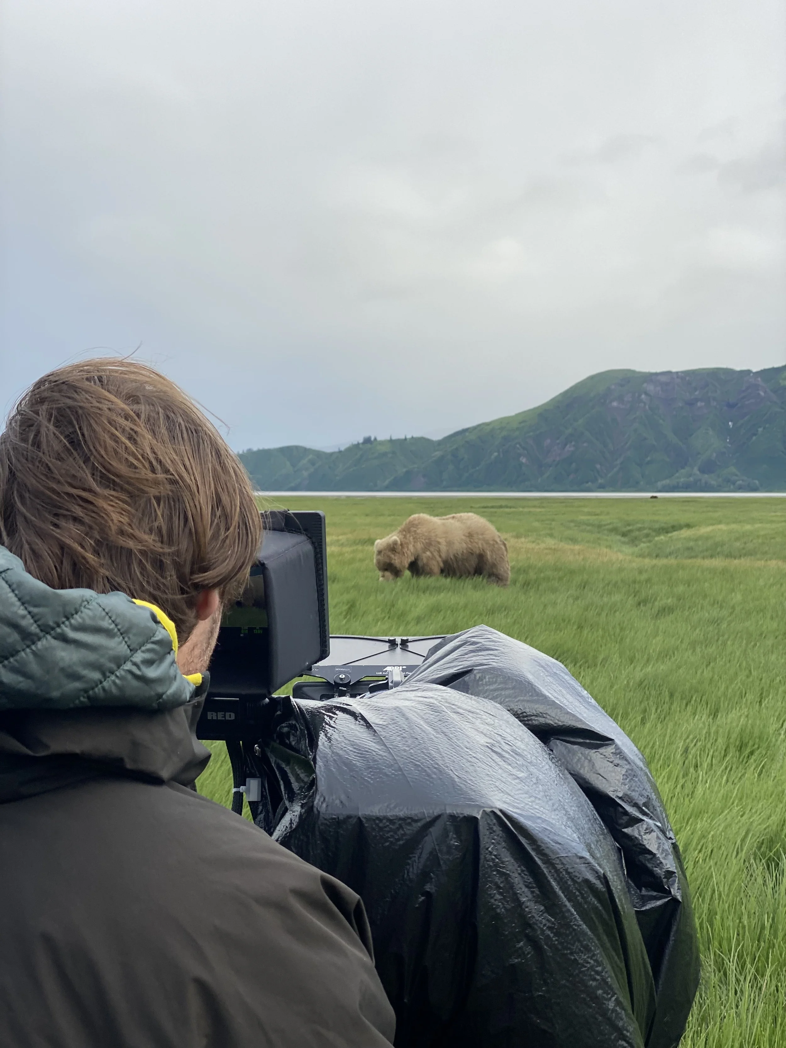 A person operating a camera outdoors, capturing a scene with a mountain and a bear in a grassy field.