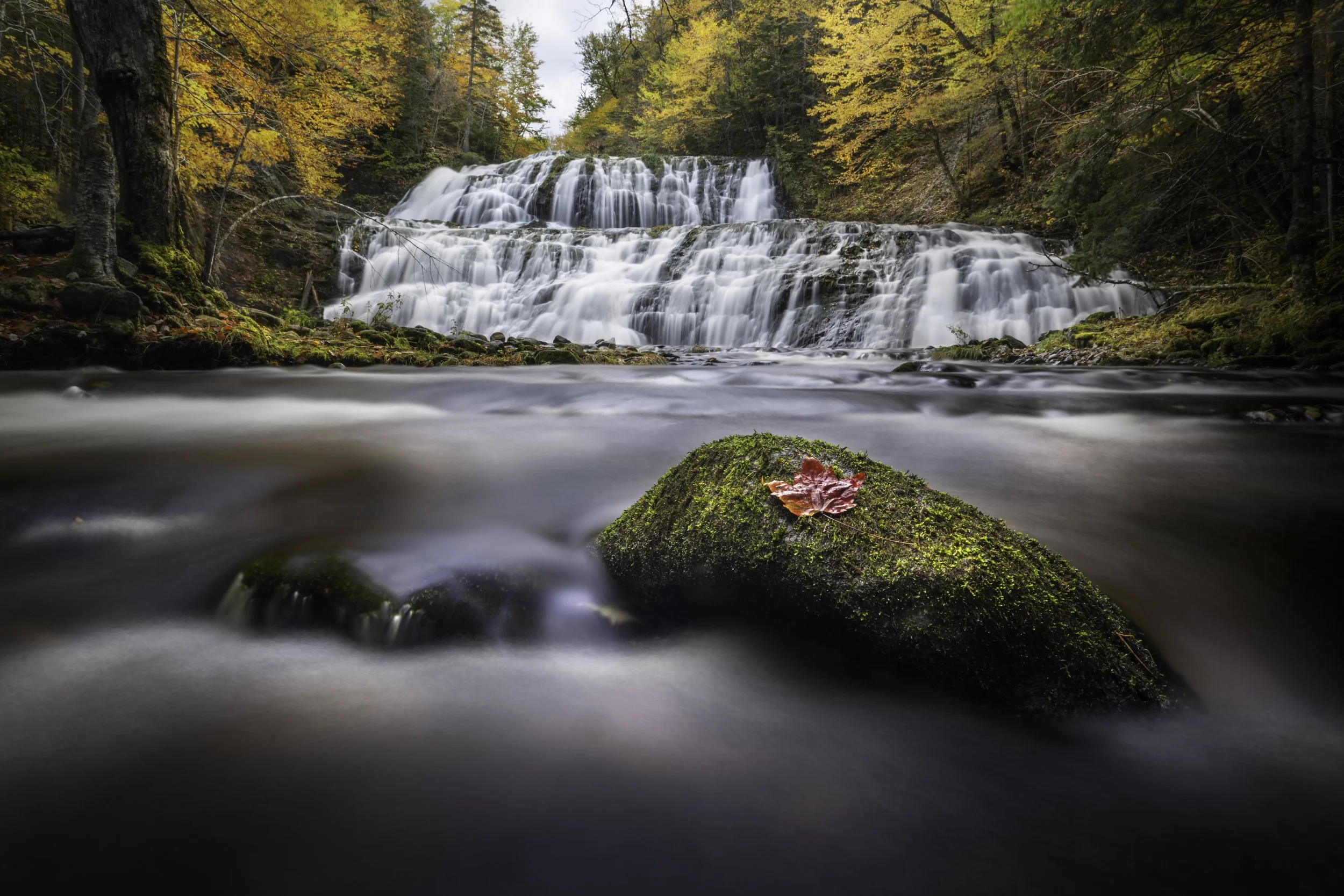 A cascading waterfall flowing over rocks surrounded by autumn trees with orange and yellow leaves, and a moss-covered rock with a red leaf in the foreground.