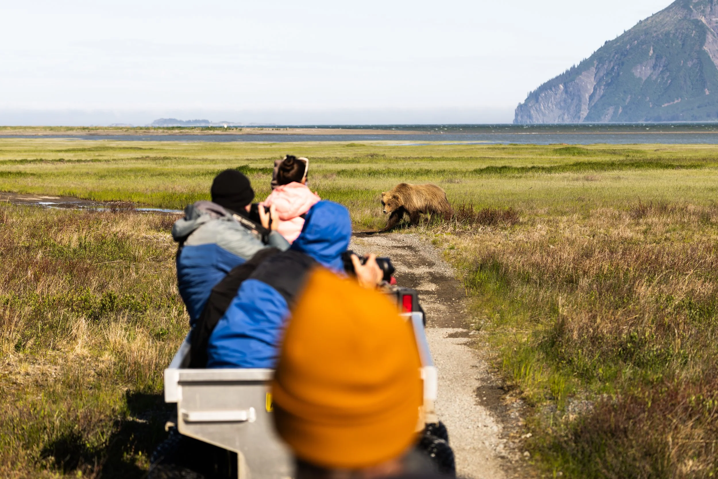 Two people riding bicycles on a trail with a bear in the distance on a grassy field, mountains and water in the background.