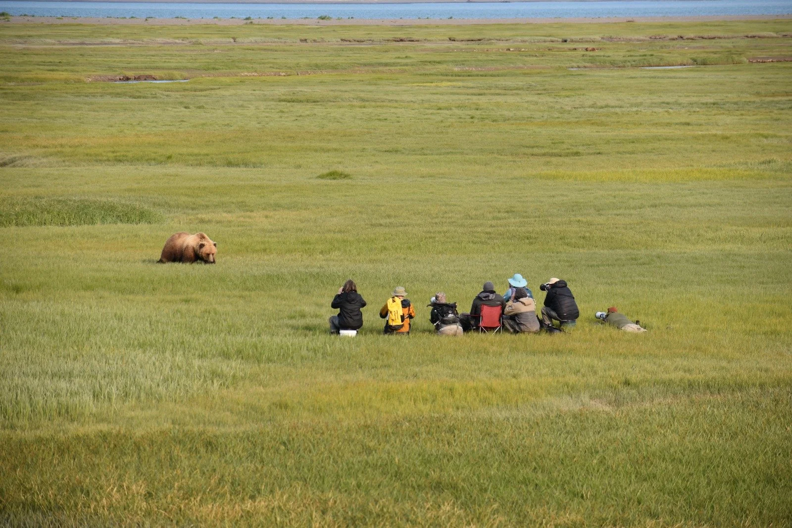 Group of photographers sitting and lying on green grass field, taking pictures of a large bear in the distance, with a body of water and more grassland in the background.
